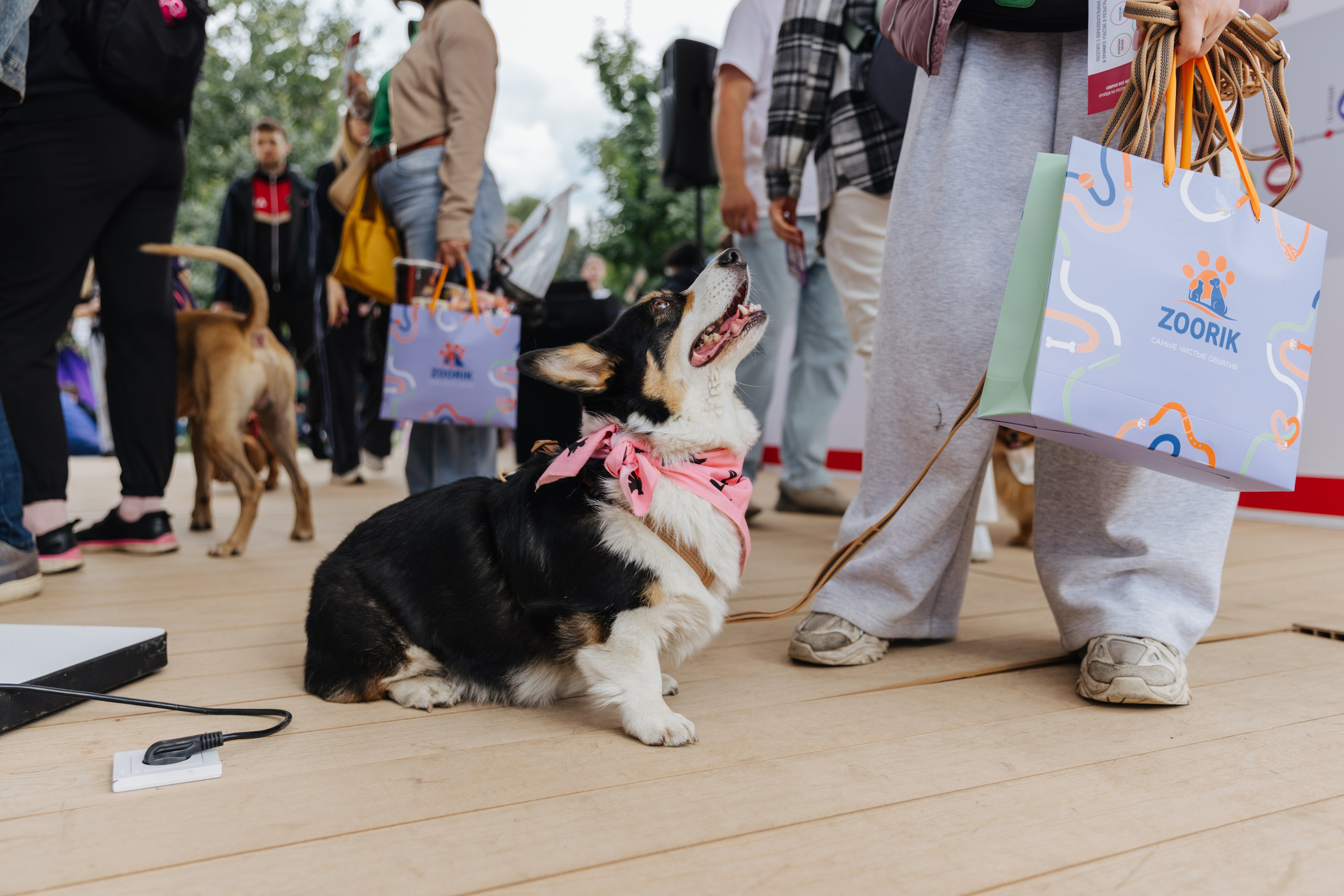 Хвостатый репортаж. Аксана Лисовская фотограф в Москве. Фотографии с характером