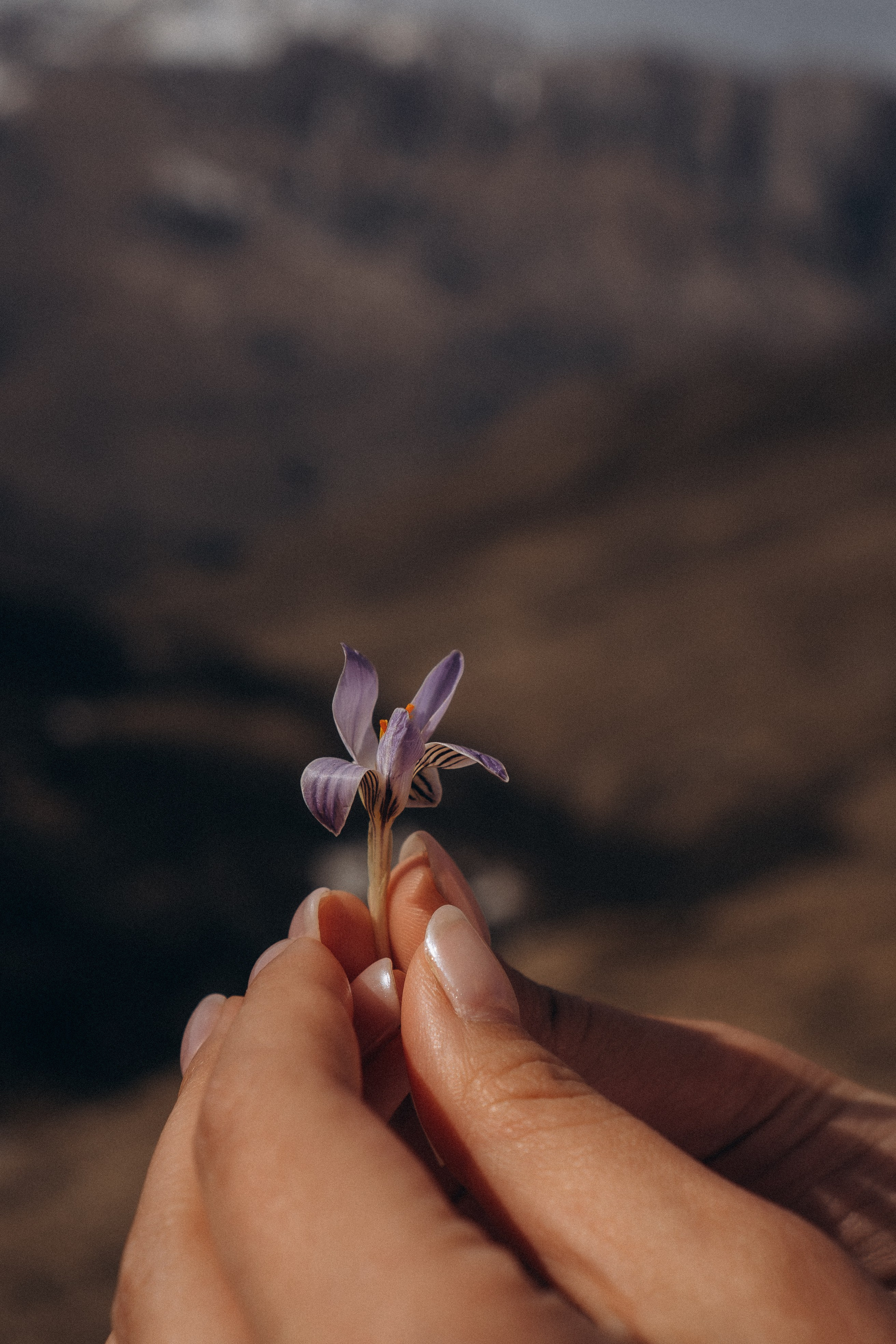 ОСЕТИЯ. Профессиональный фотограф, Санкт-Петербург — Виктория Богомолова