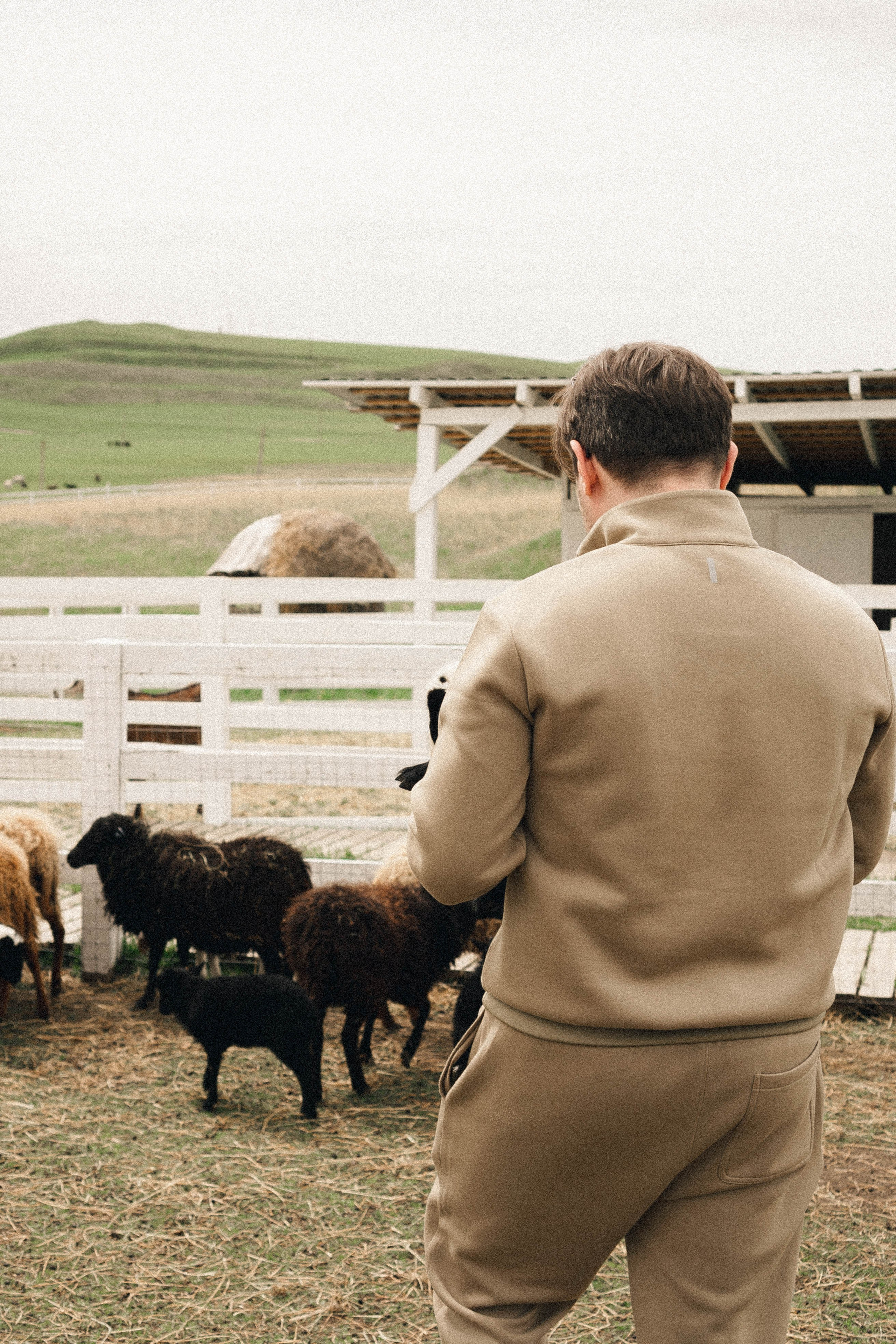 Ферма Альпак. Профессиональный фотограф, Санкт-Петербург — Виктория Богомолова