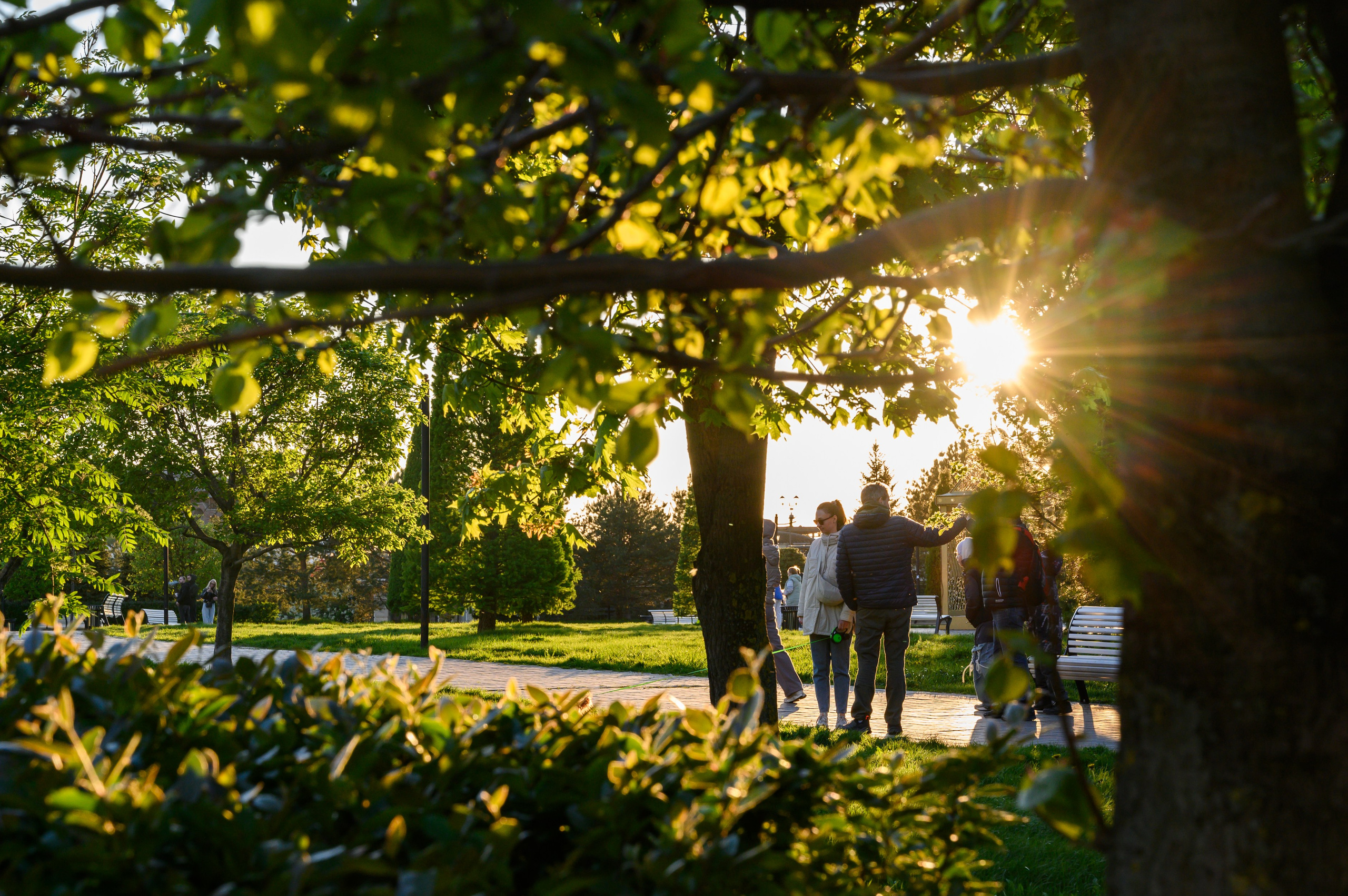 Парк около дворца земледельцев в Казани