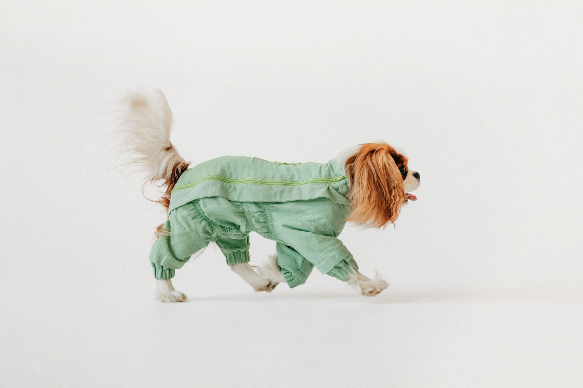 Одежда Lapa`s brand. Фотограф-анималист Елена Радченко, Москва