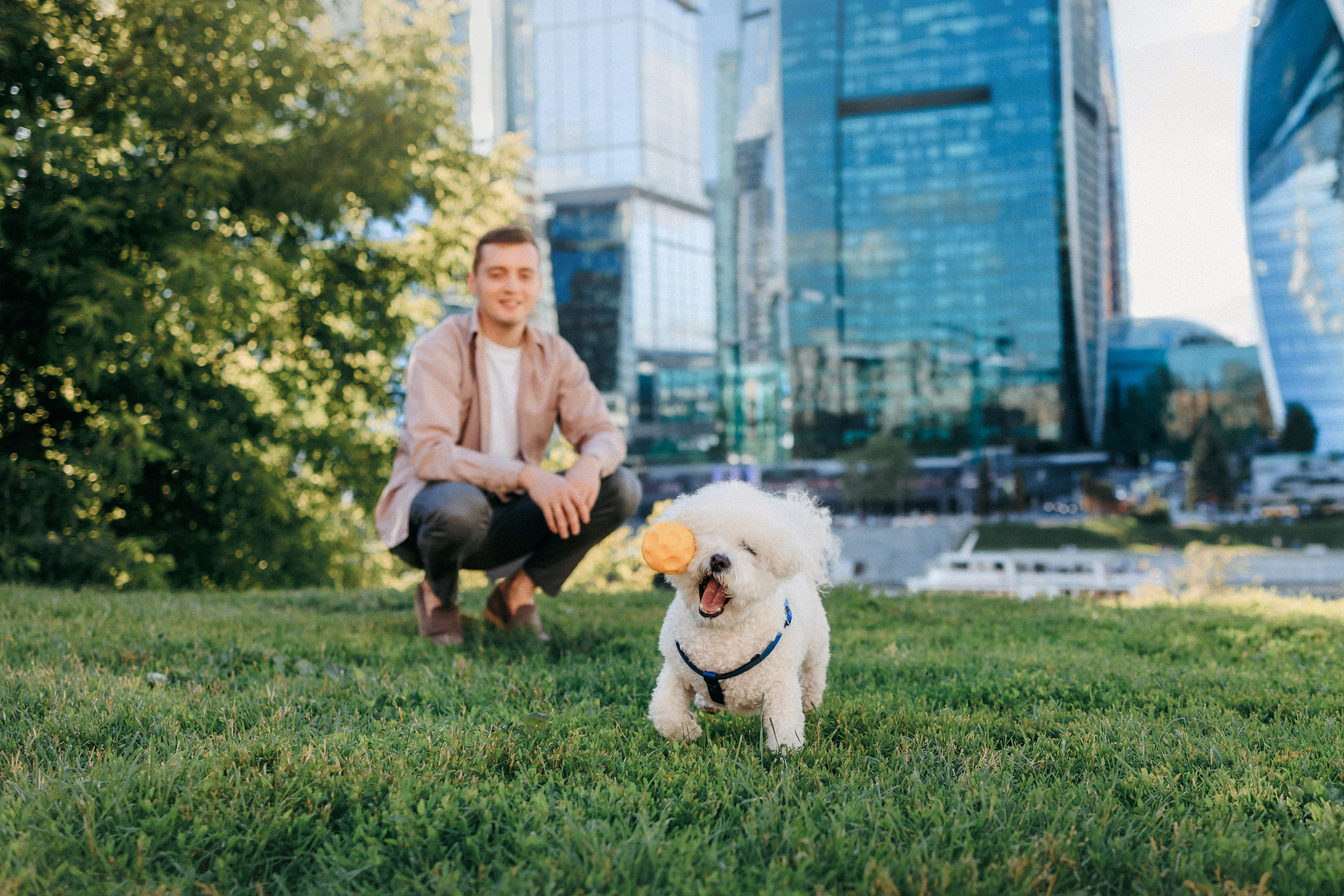 Марина, Данил и Бруно. Фотограф-анималист Елена Радченко, Москва