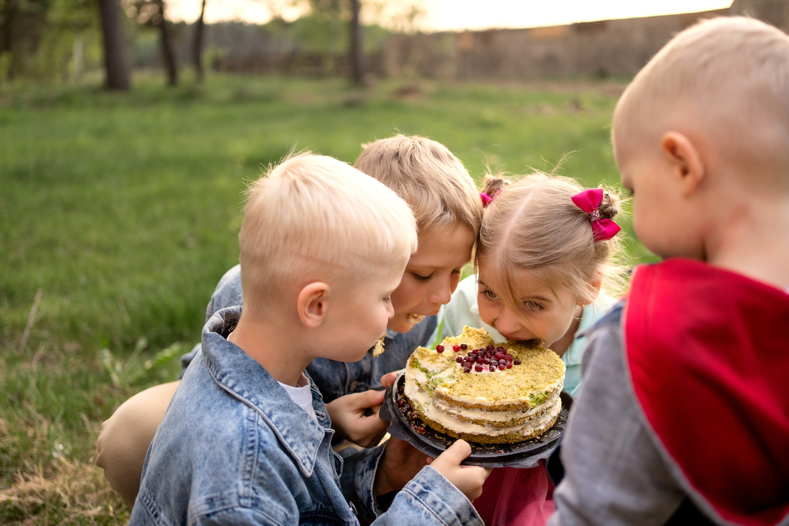 Хаски парк. Семейный и свадебный фотограф Минск, Беларусь Анна Орловская