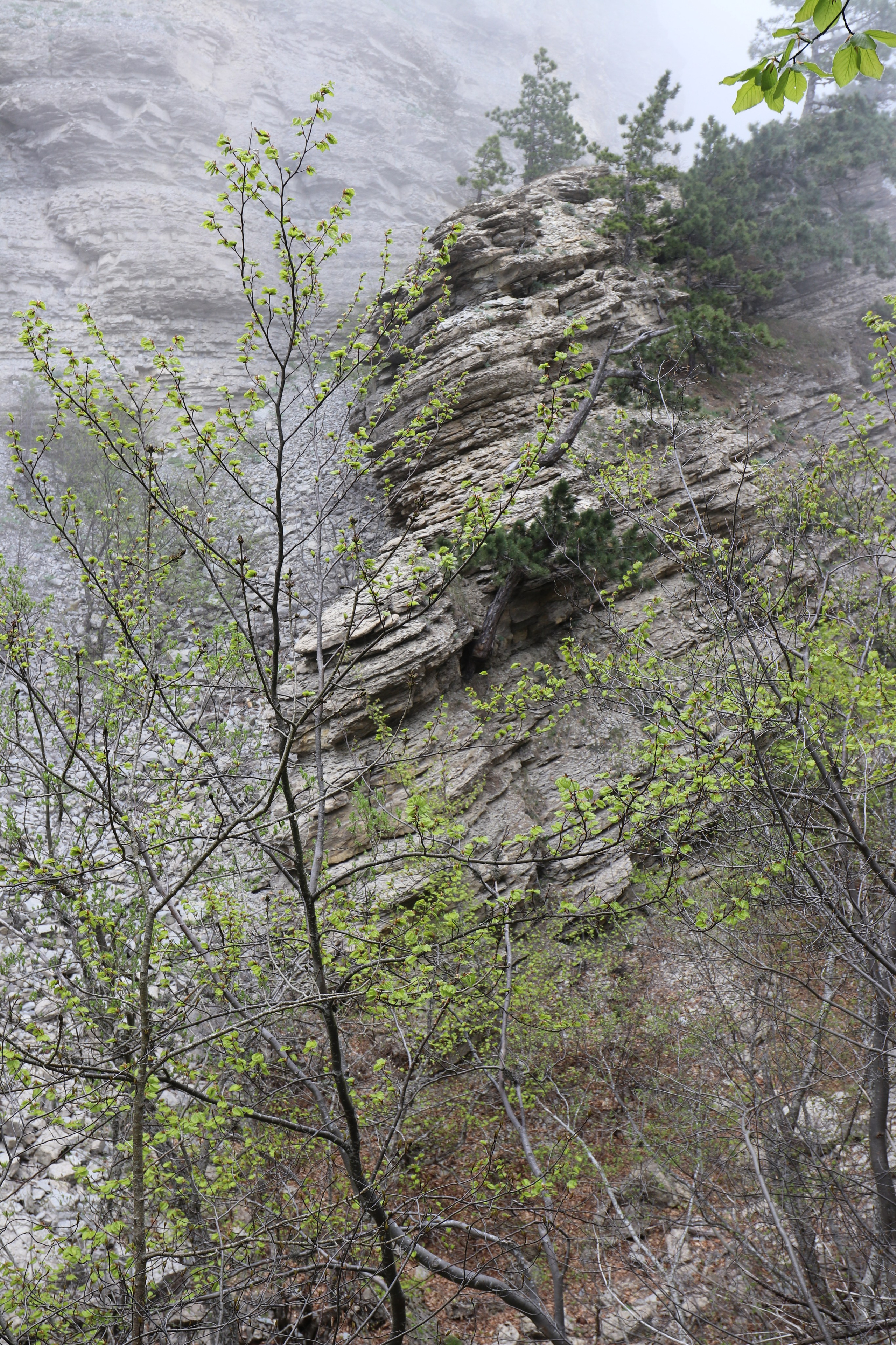 Крым. ЮБК (Бахчисарай, Демерджи, Судак). Первый скалолазный выезд. Май 2019. Путешественник-фотограф из Санкт-Петербурга Татьяна Свистулина