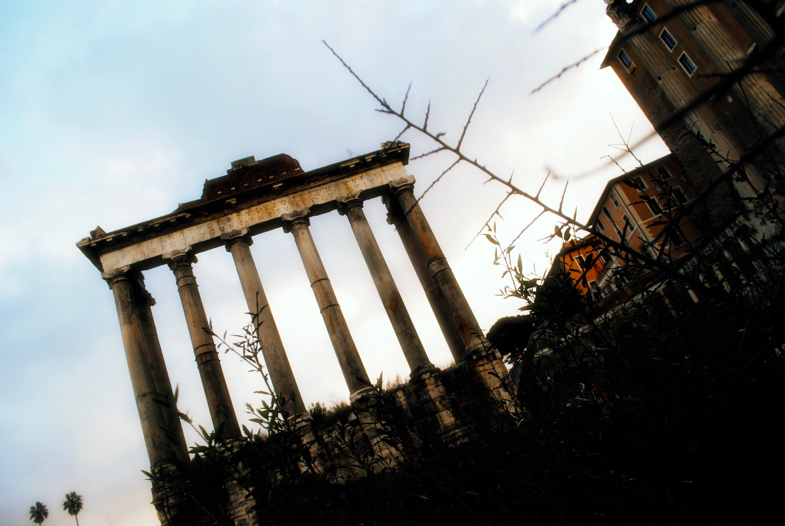 Италия стрит. Iraogo