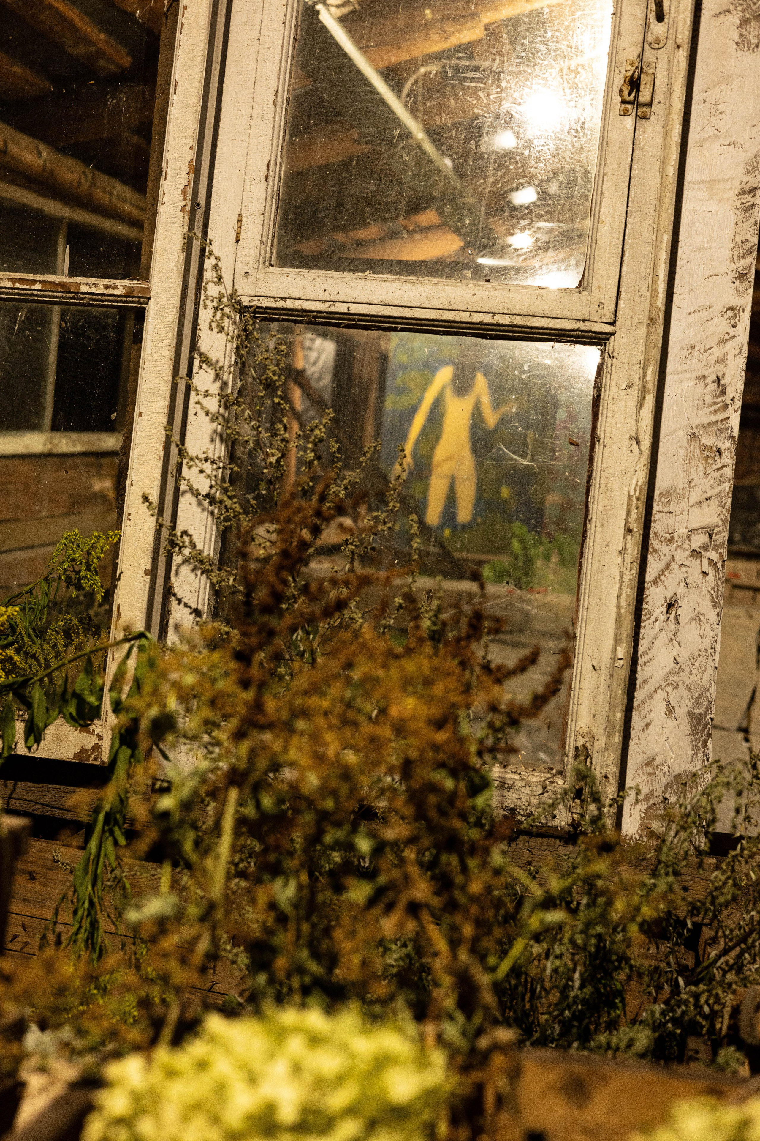 Выставка «Цветочек». Фотограф Шурыгина Эльвира Москва