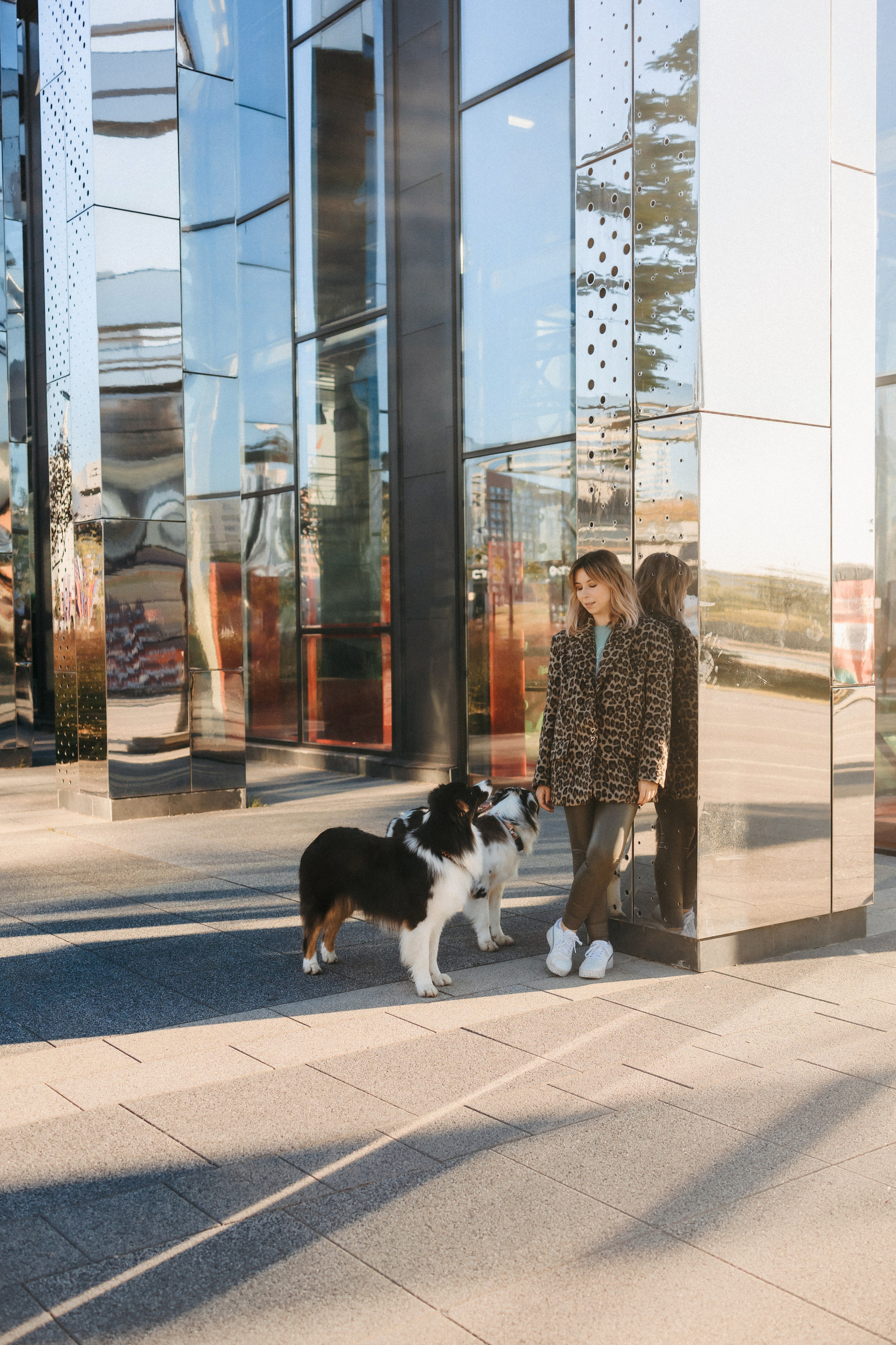 Аня, Чарли и Ева. Фотограф-анималист Елена Радченко, Москва