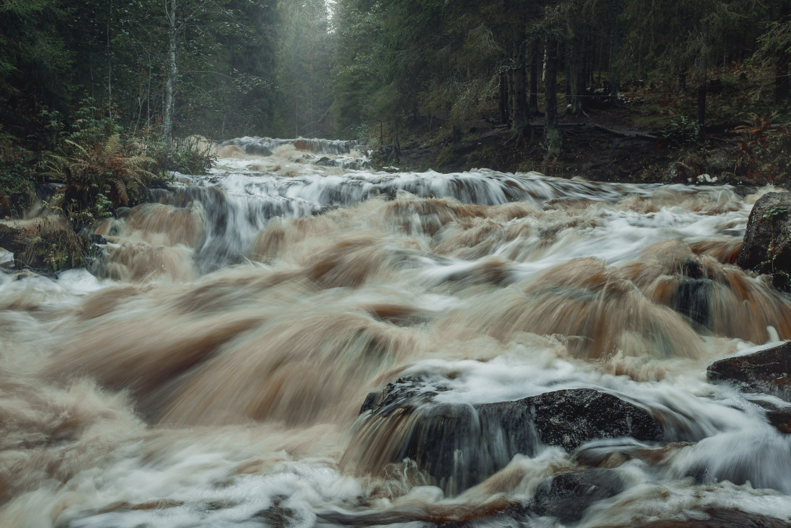 Пейзаж. Детская Конная фотография в Москве Юлия Шепелева