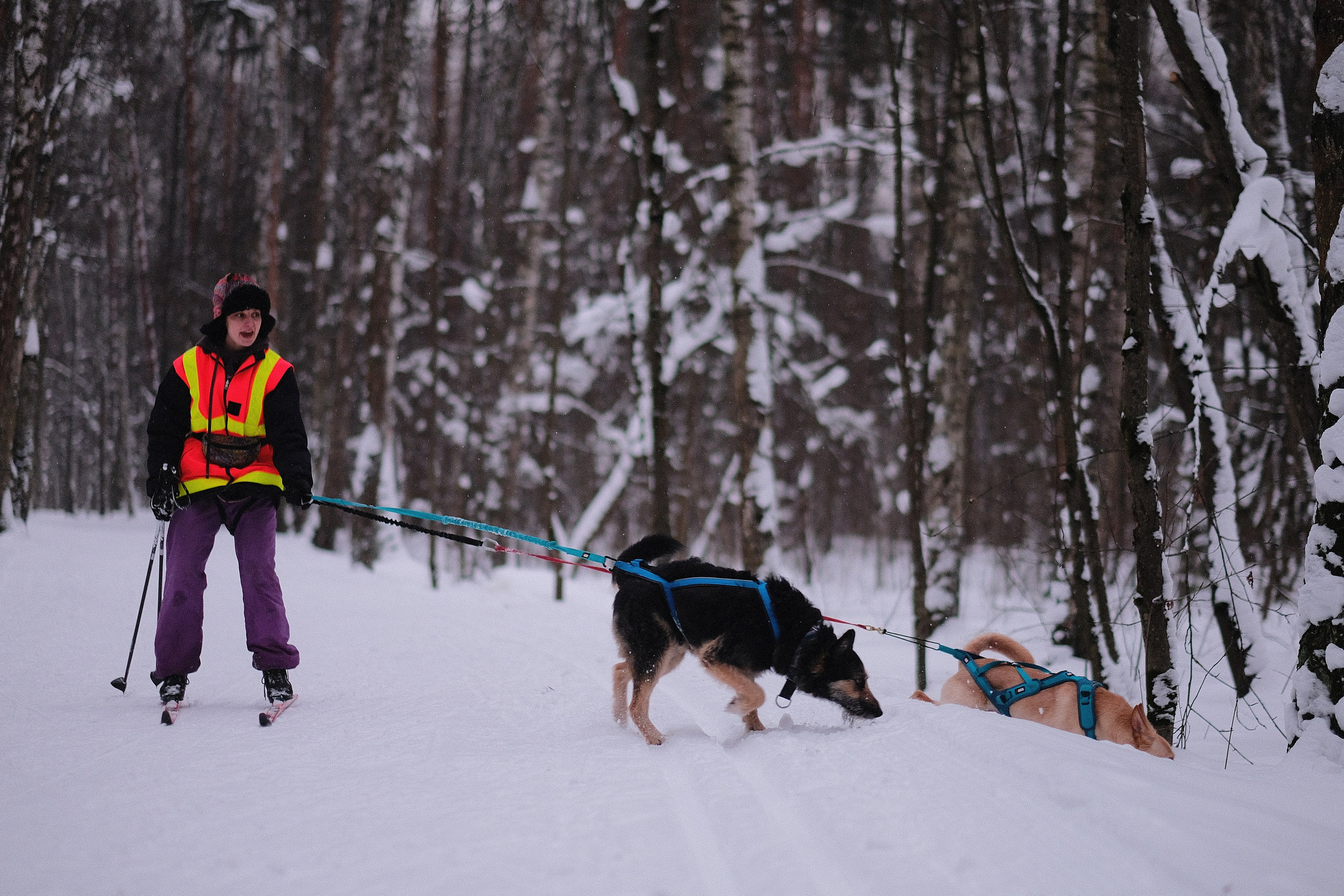 Рик, Листик и их Катя. Дмитрий Бречалов
