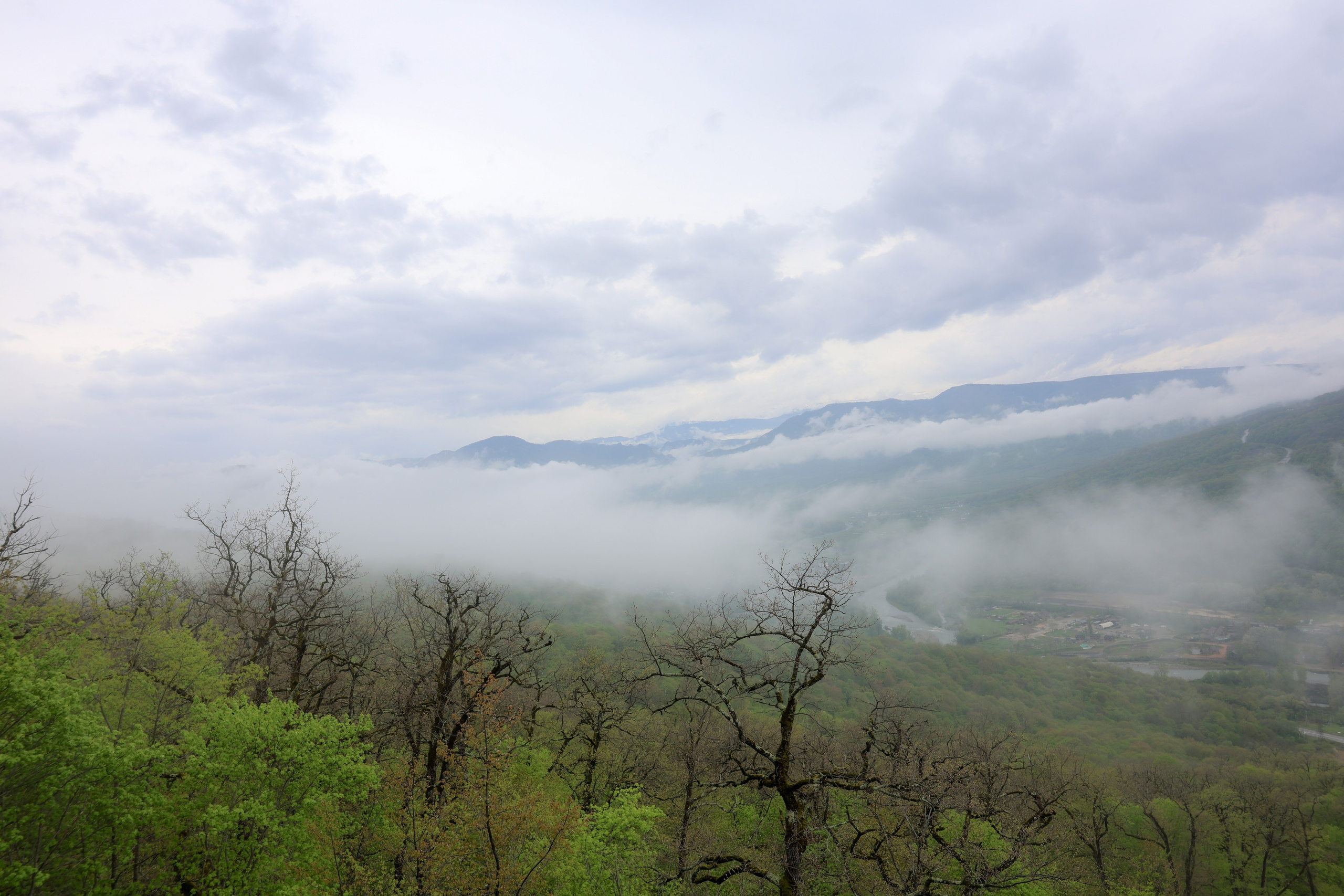 Фотограф Мария Алексеева. Мария Алексеева. Фотограф в Москве