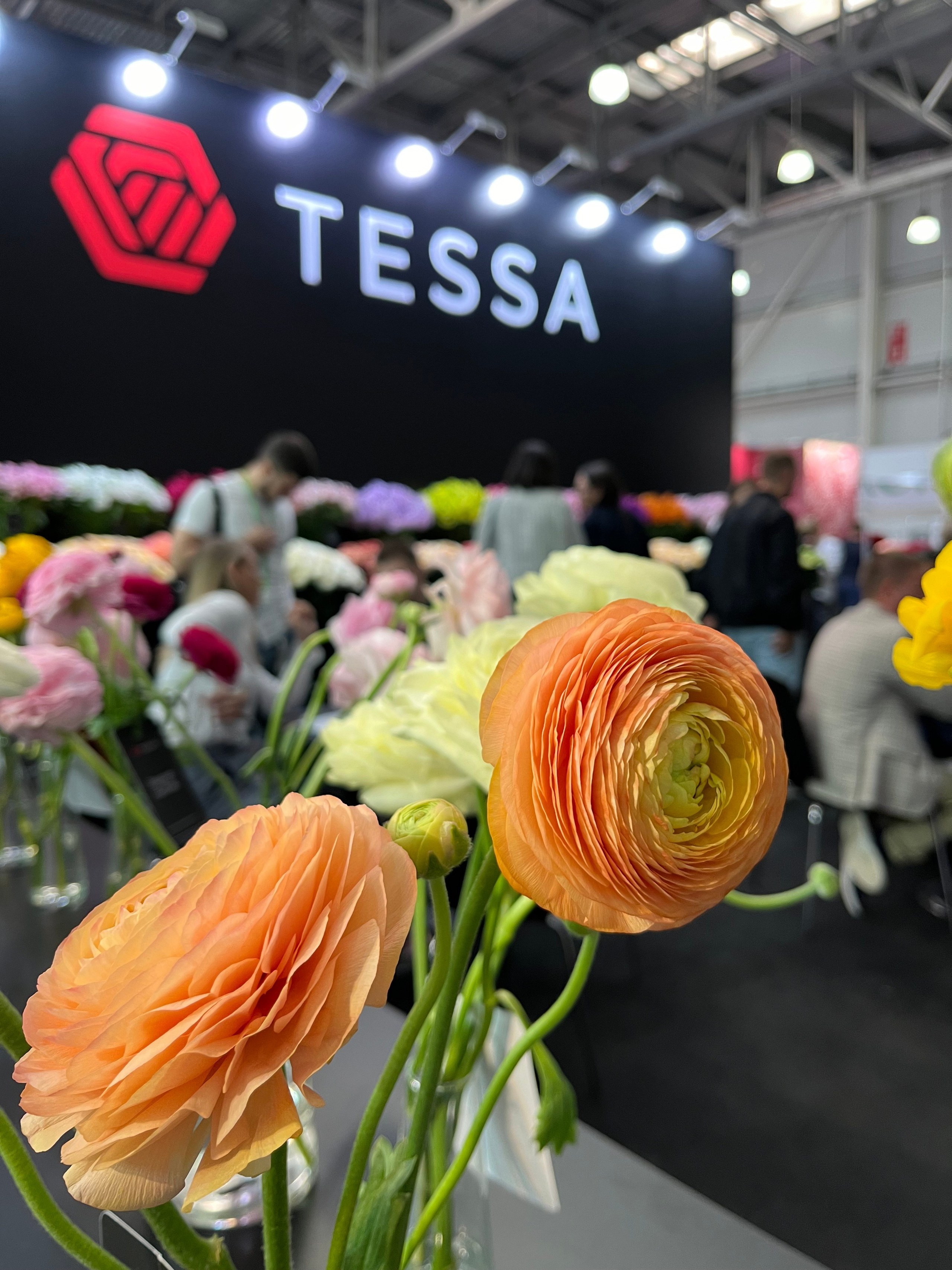 ЛЮБИМЫЕ ЦВЕТЫ