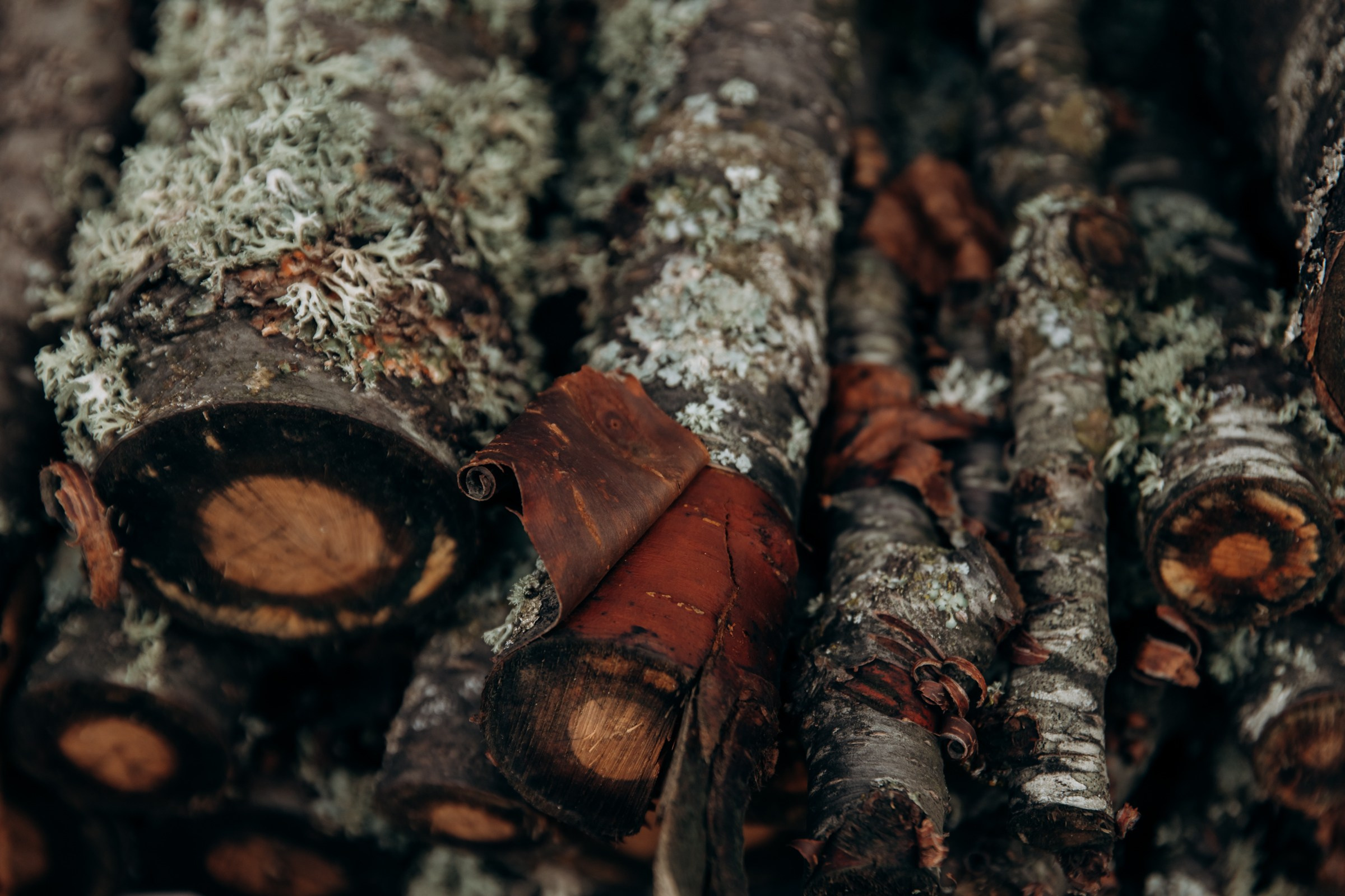 Съёмка для компании INTEQ HAUS из Москвы. Фотограф в Крыму — Федор зайцев. Свадебная, семейная и портретная съёмка. Фотографии для контента, для бизнеса. Корпоративная съёмка