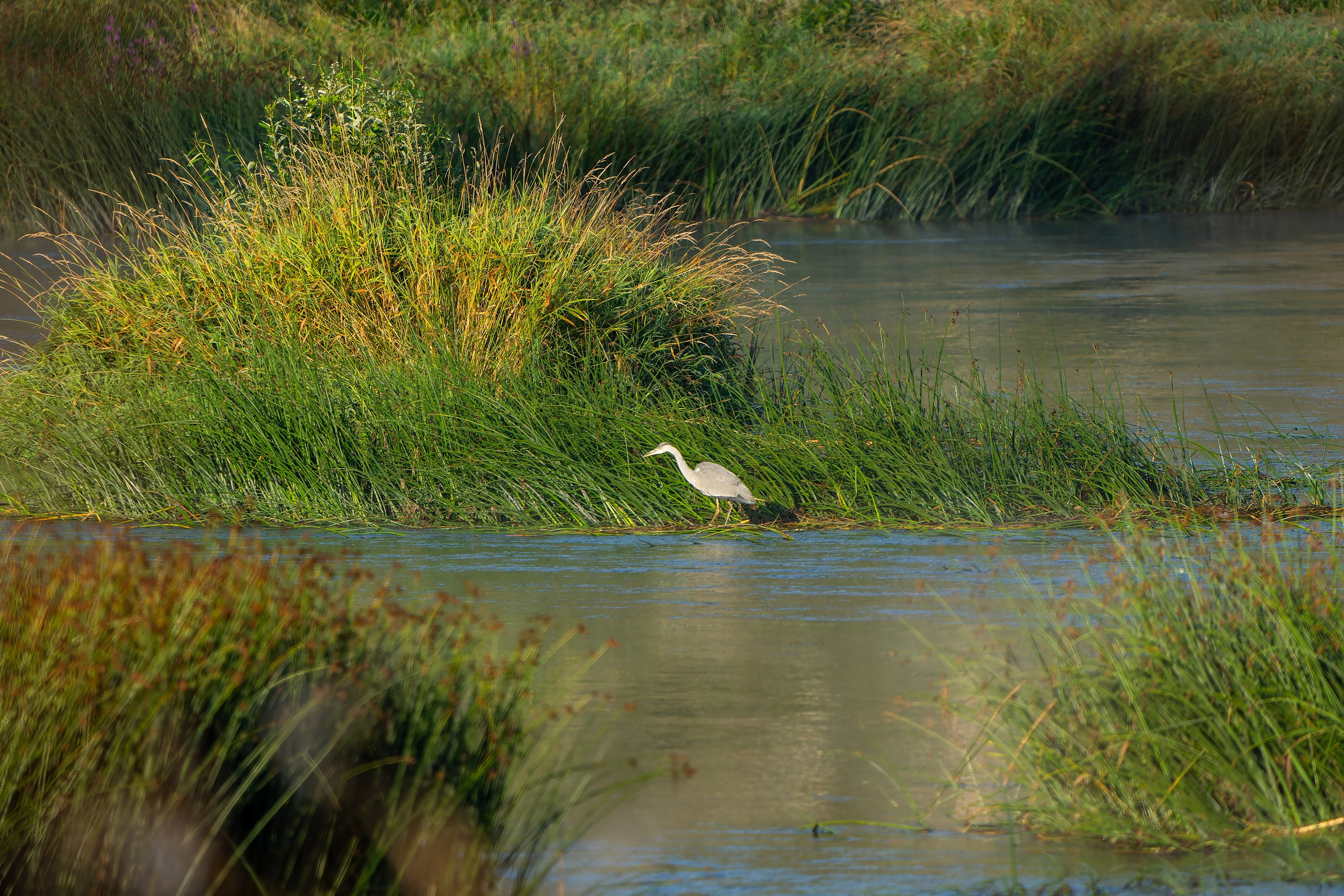 Фотографии Национальный парк Угра. Фотограф спортивные события, недвижимость, турбизнес