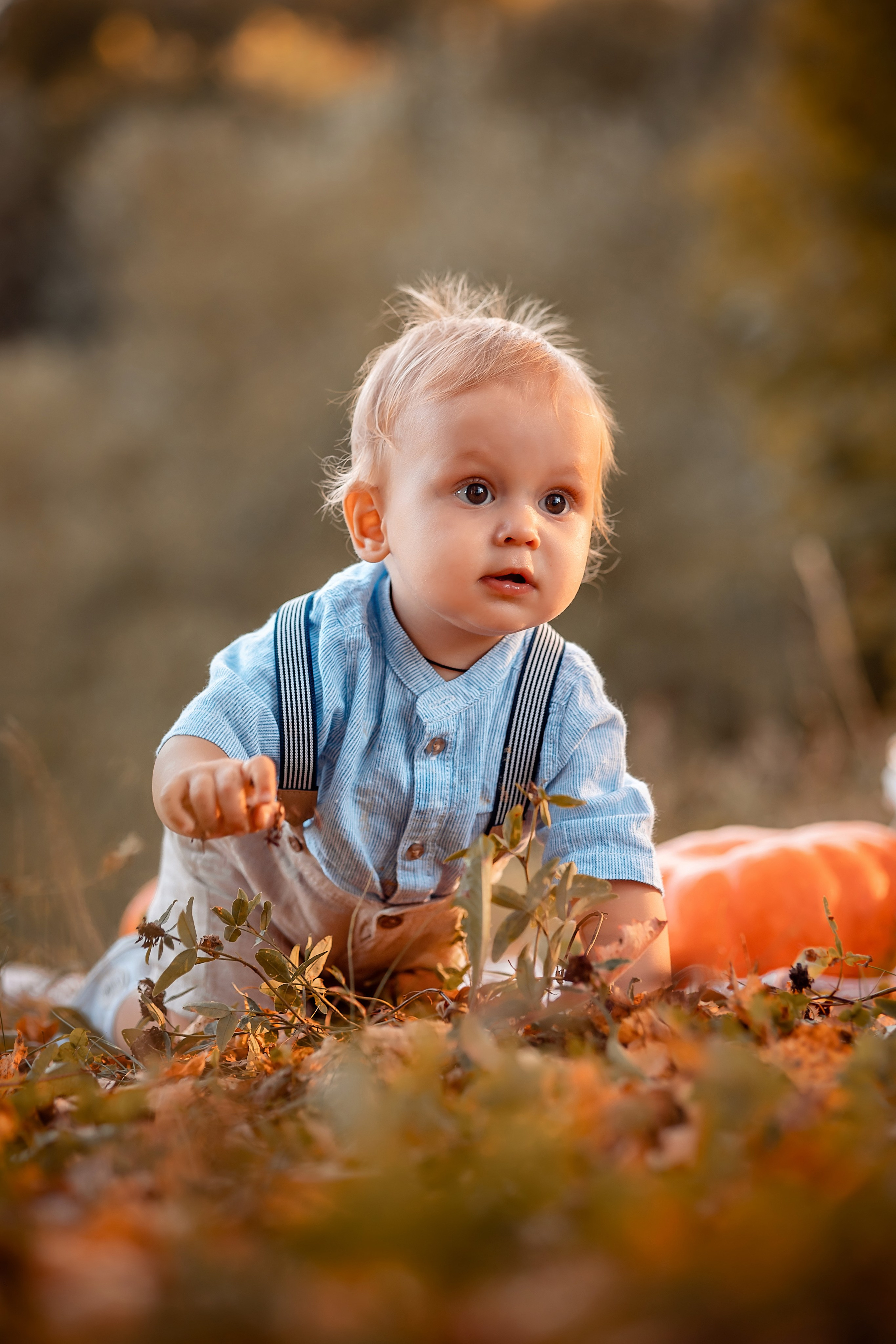Фотосессии. Свадебный Церковный Семейный фотограф Светлана Былова Москва- Смоленск