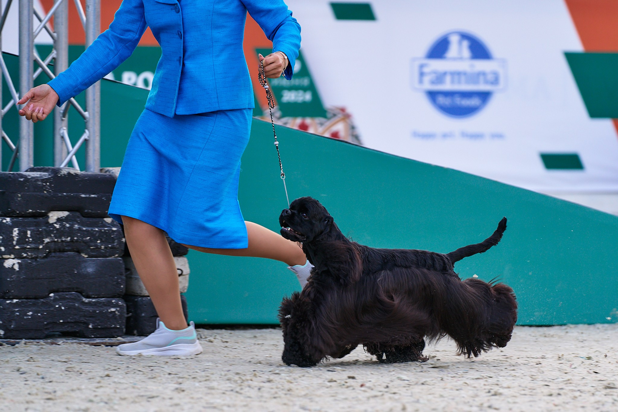 09.06.2024, «РОССИЯ. КУБОК МОСКВЫ 2024 & КУБОК ГОРОДОВ-ГЕРОЕВ»