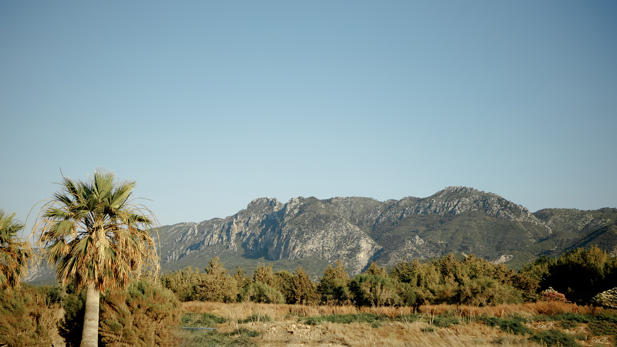 F A M I L Y. Фотограф в Батуми Павел Шарников