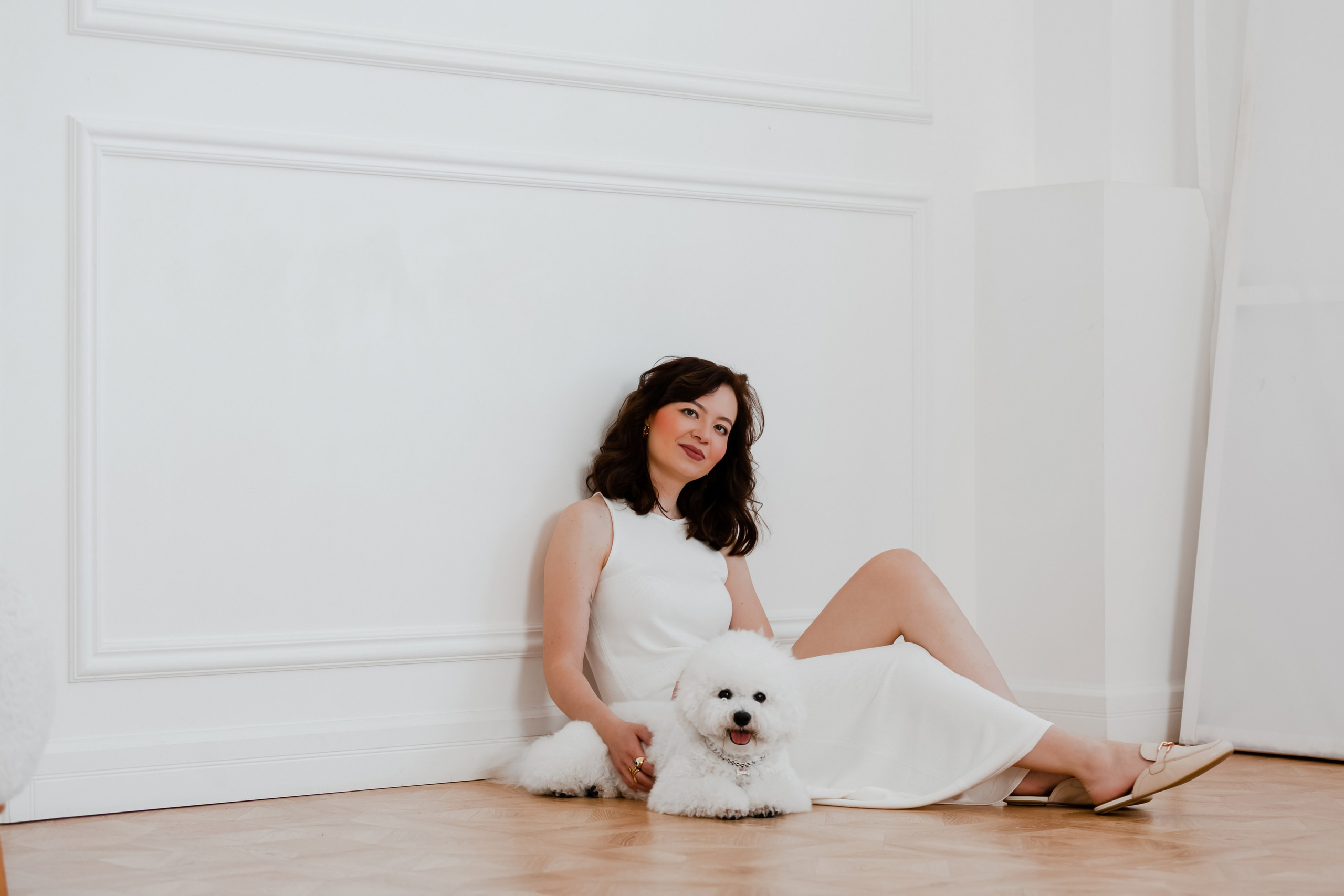 Бишон-фризе. Фотограф-анималист в Краснодаре Маша Мельникова