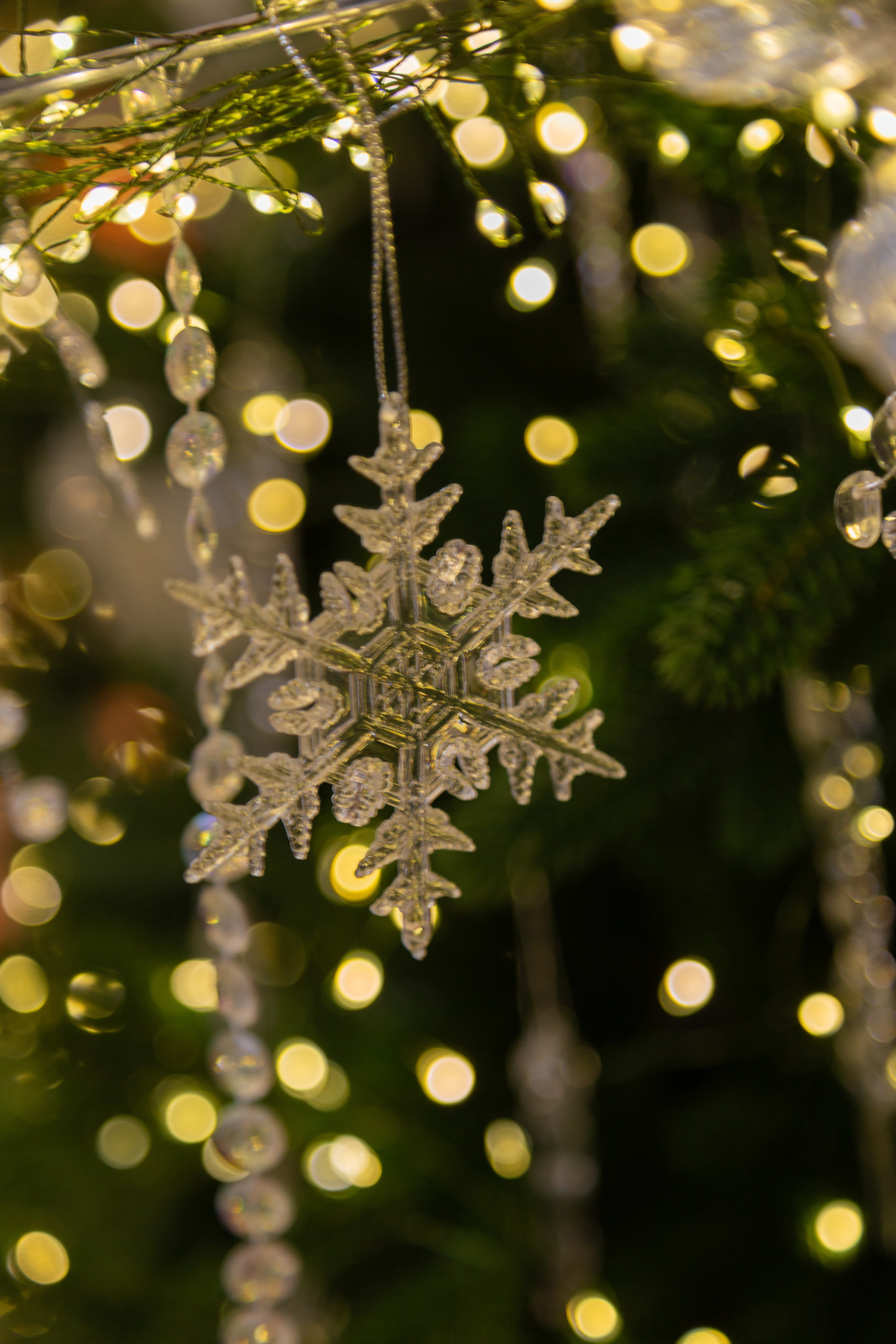 Белый Осел. Детский семейный фотограф Краснодар