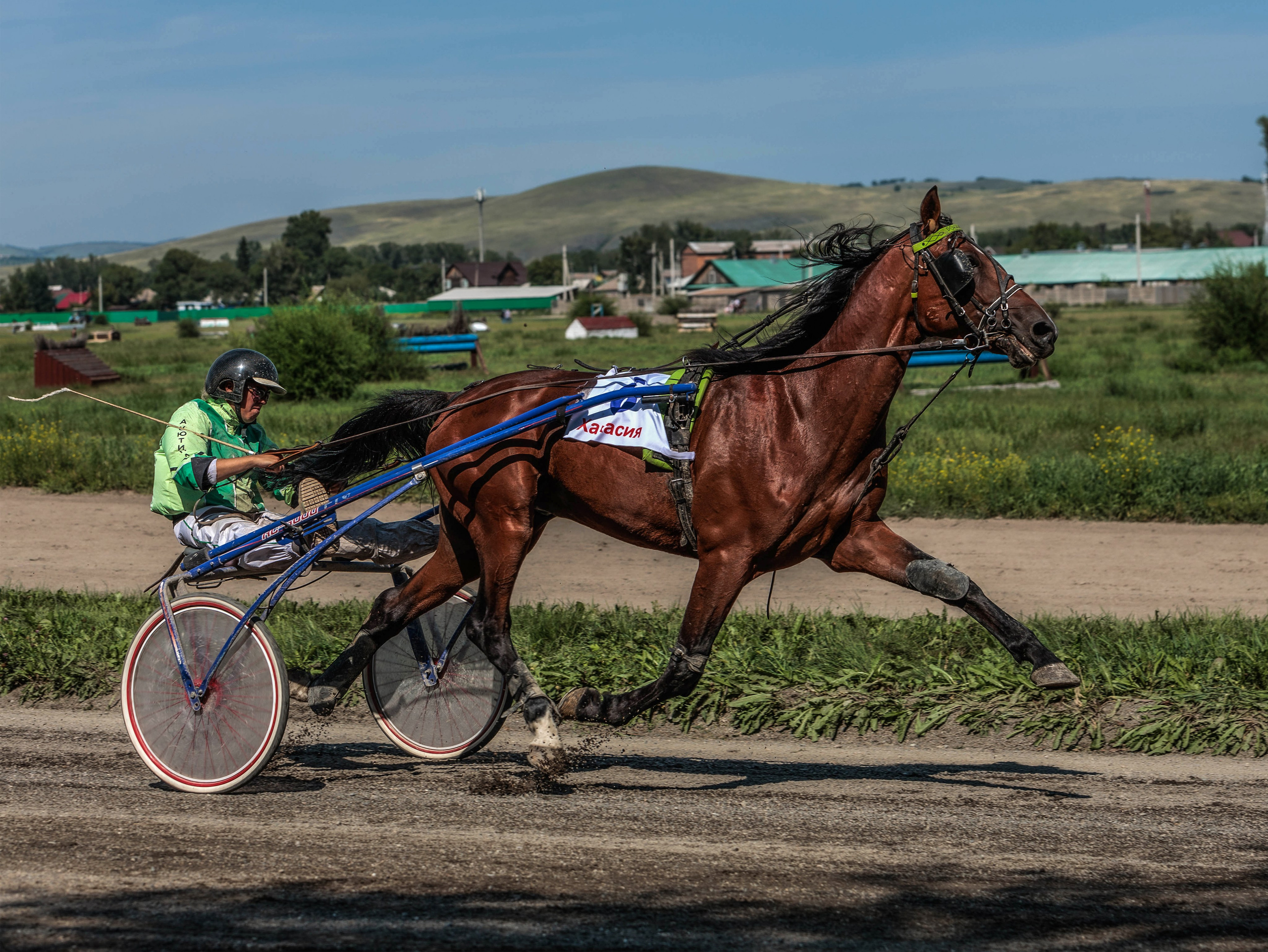 Зарисовки Абаканский ипподром 2025. Конный фотограф в Красноярске — Любовь Похабова