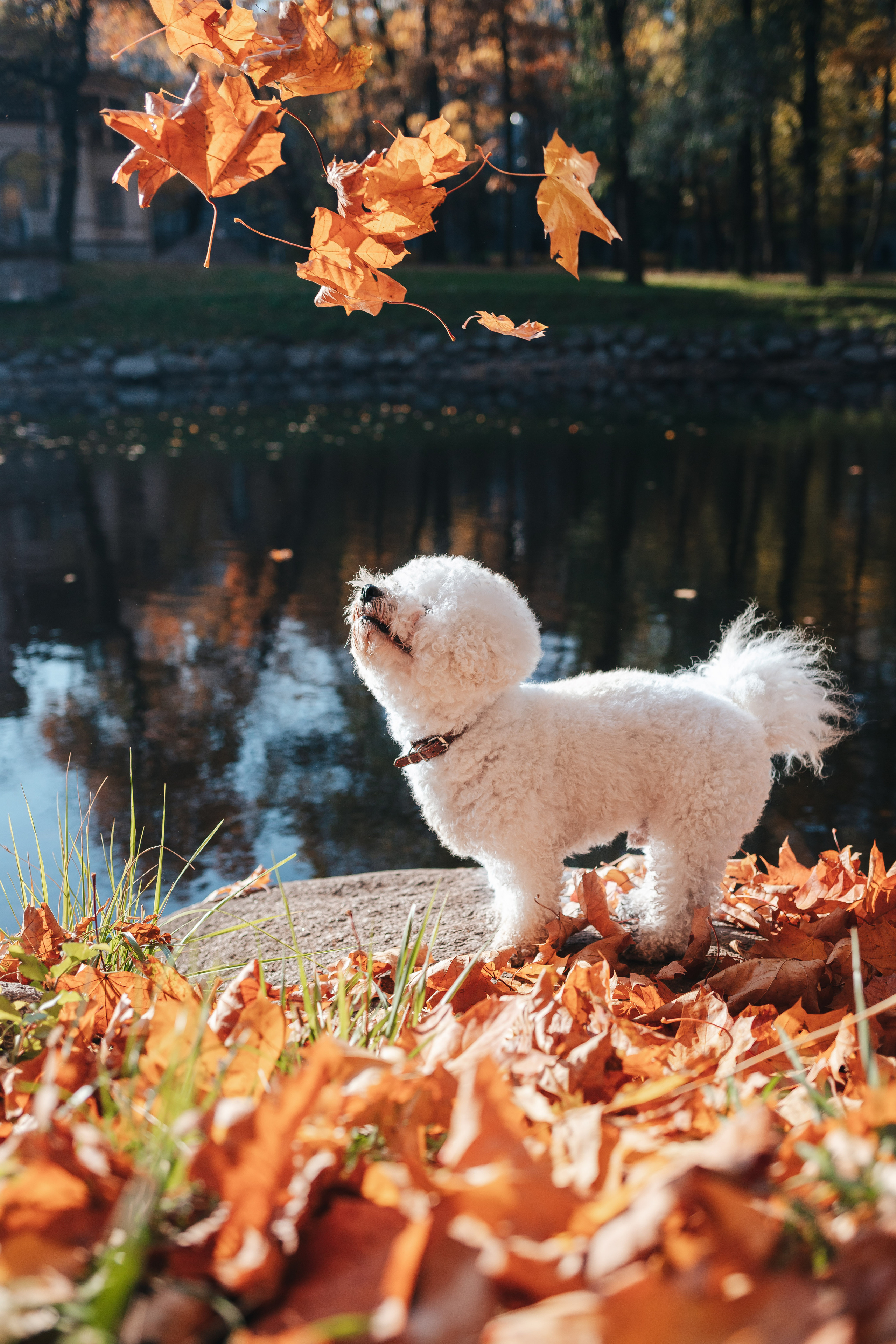 Лена и Жорик. Семейный lifestyle фотограф в Санкт-Петербурге Людмила Пахомова