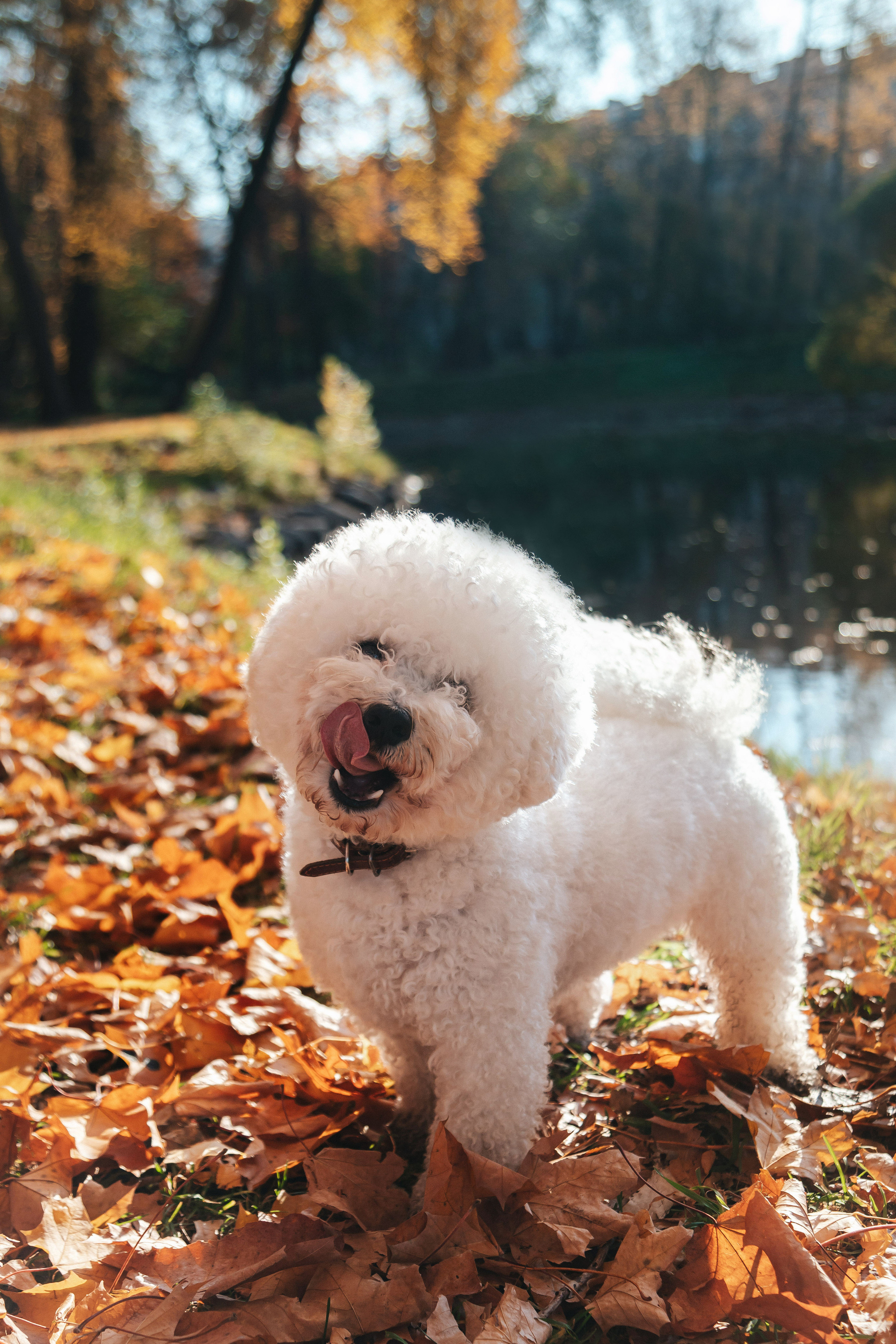 Лена и Жорик. Семейный lifestyle фотограф в Санкт-Петербурге Людмила Пахомова