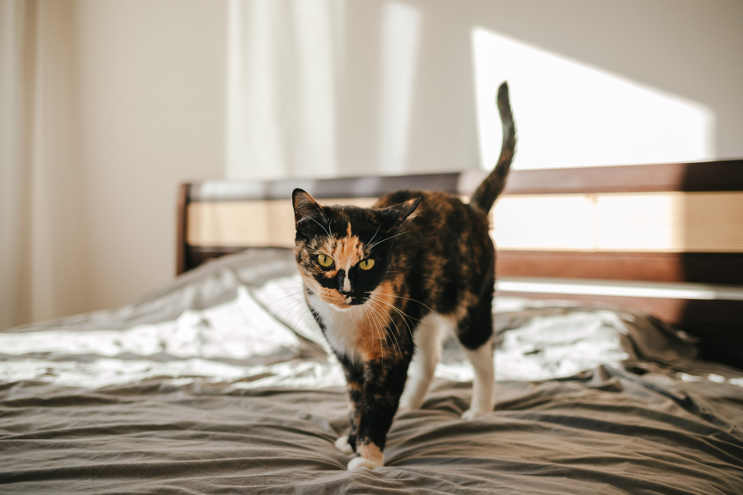 Стас, Света, Боря. Семейный lifestyle фотограф в Санкт-Петербурге Людмила Пахомова