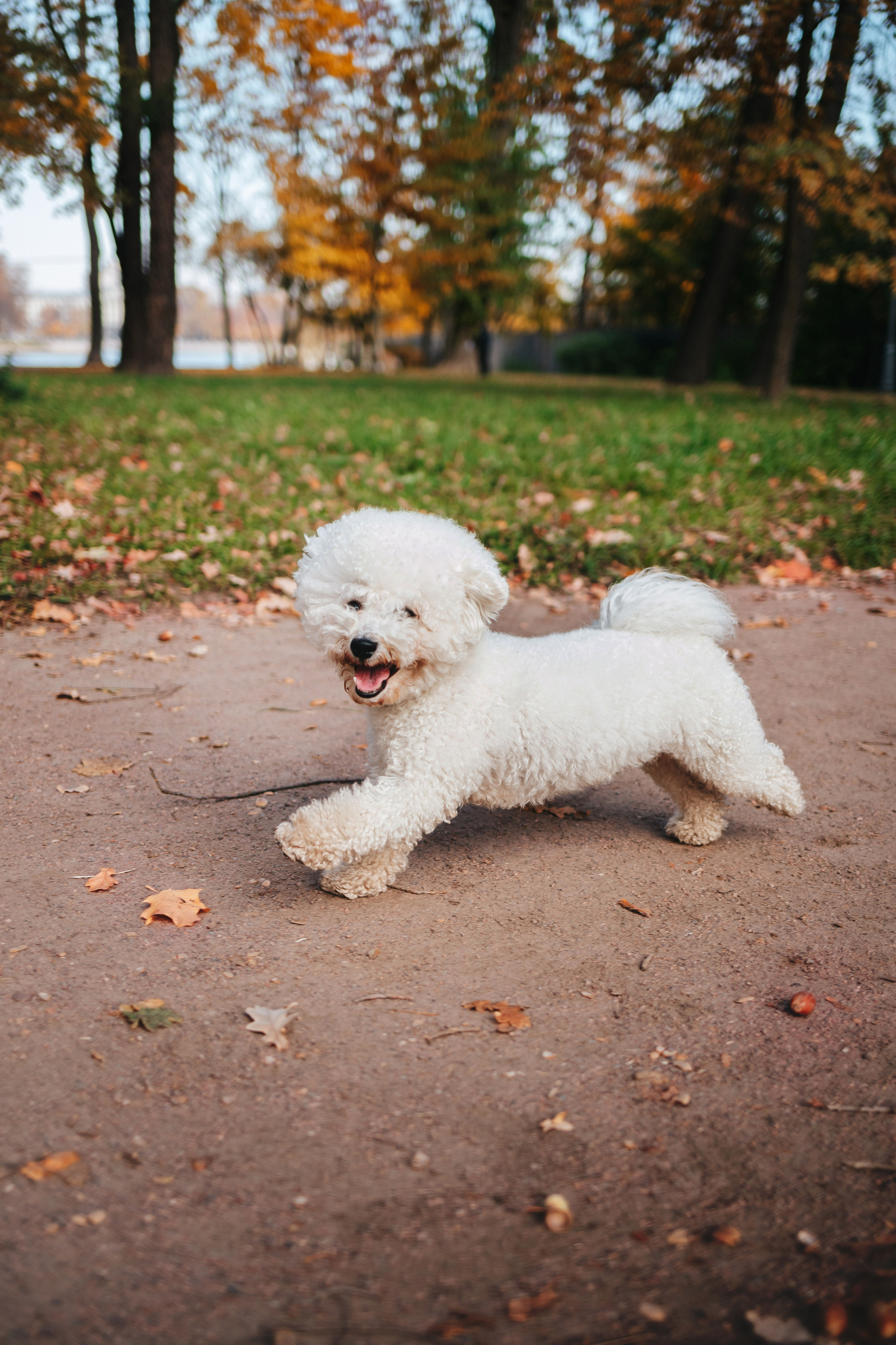 Лена и Жорик. Семейный lifestyle фотограф в Санкт-Петербурге Людмила Пахомова