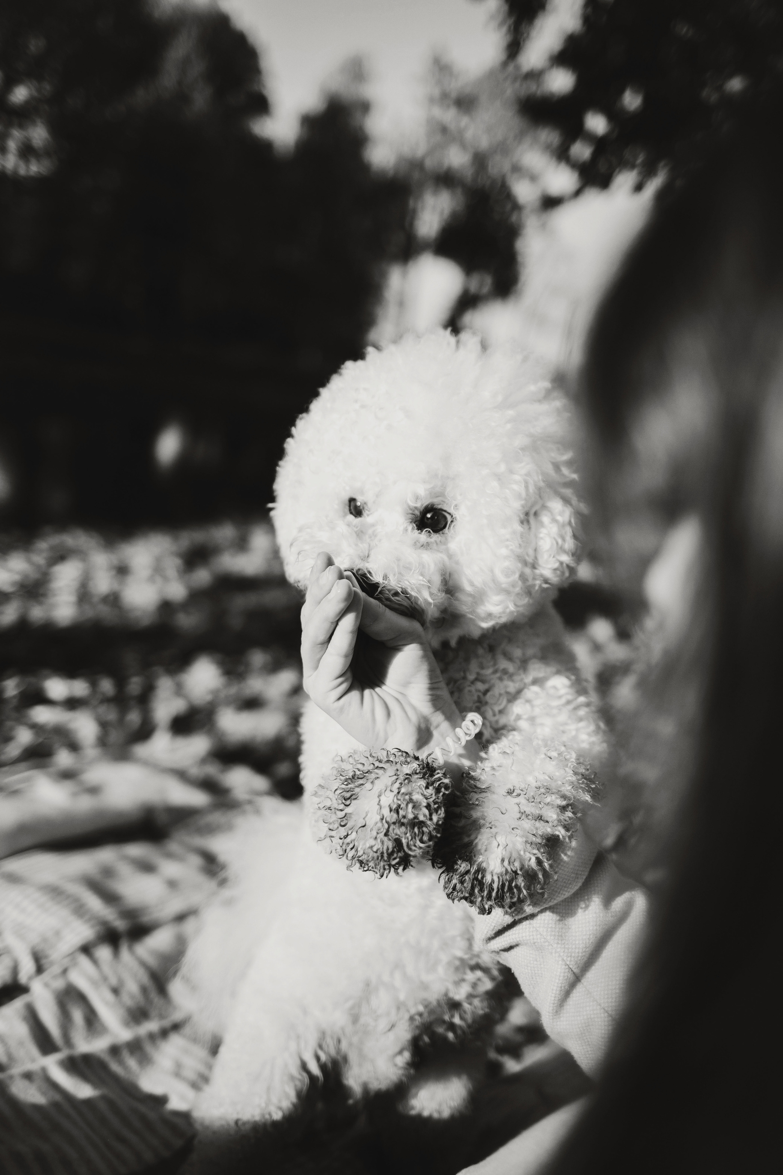 Лена и Жорик. Семейный lifestyle фотограф в Санкт-Петербурге Людмила Пахомова