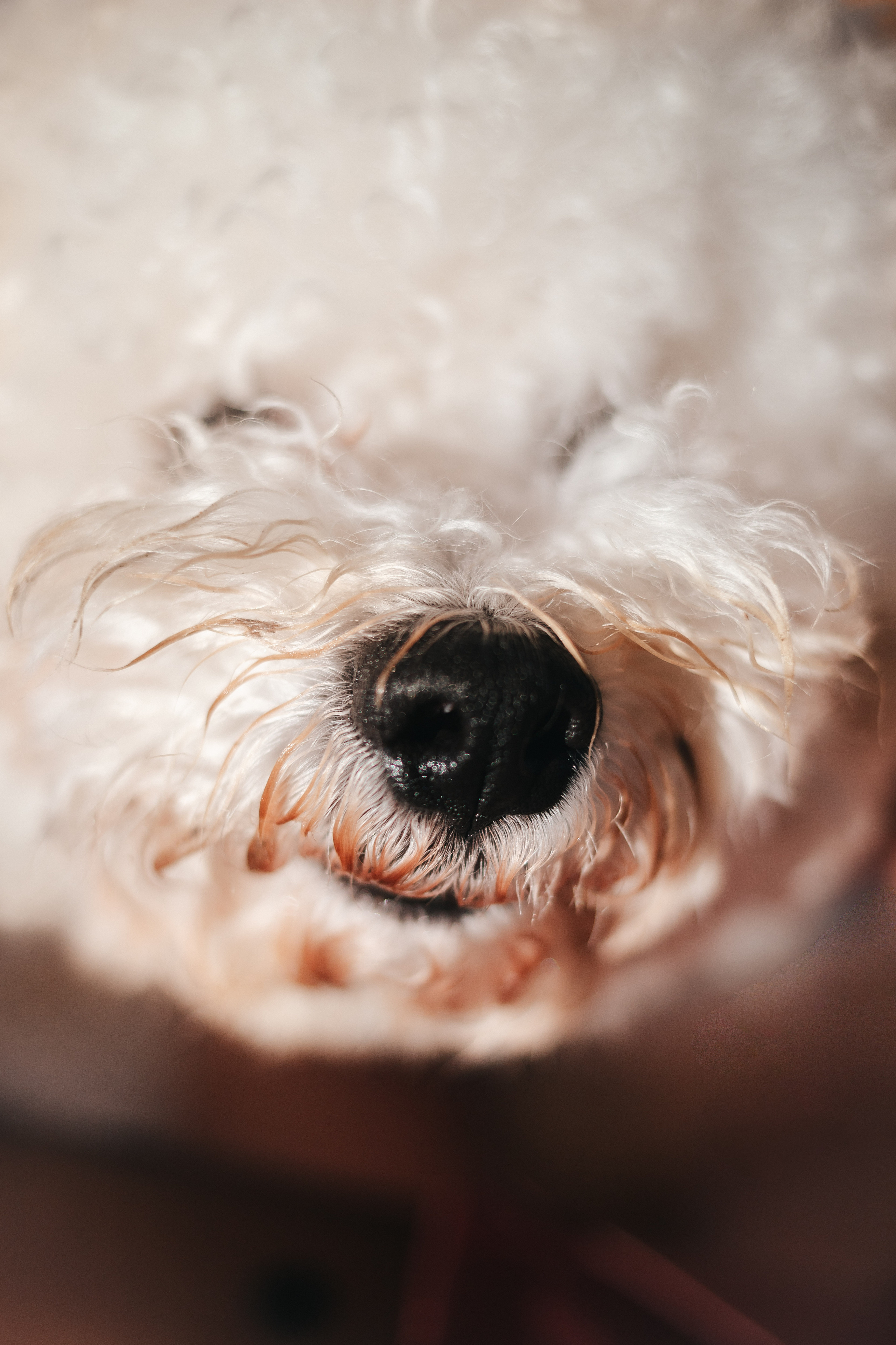 Фотосессия на улице. Семейный lifestyle фотограф в Санкт-Петербурге Людмила Пахомова