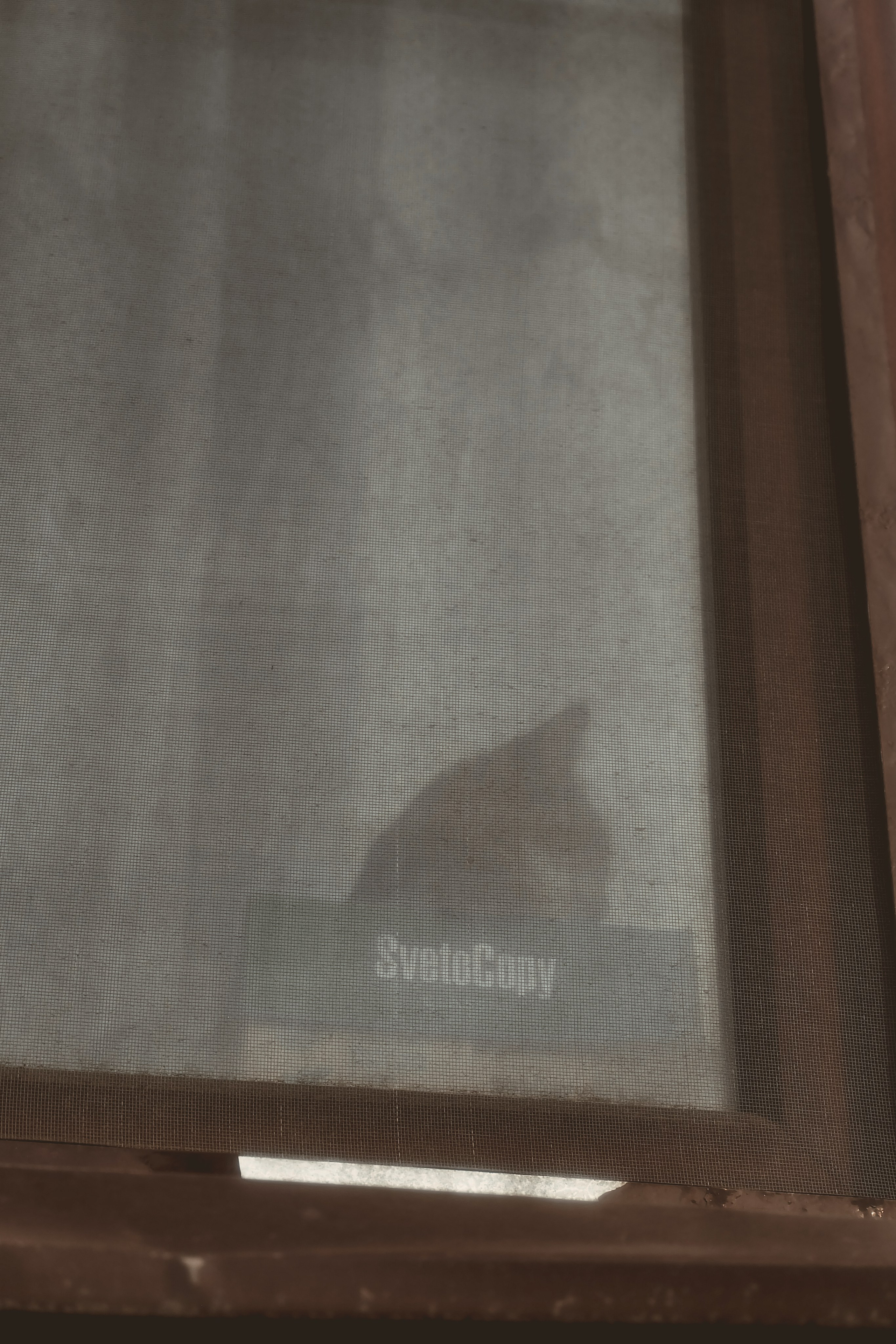 Обычный день календаря. Портретный фотограф DanilNabody