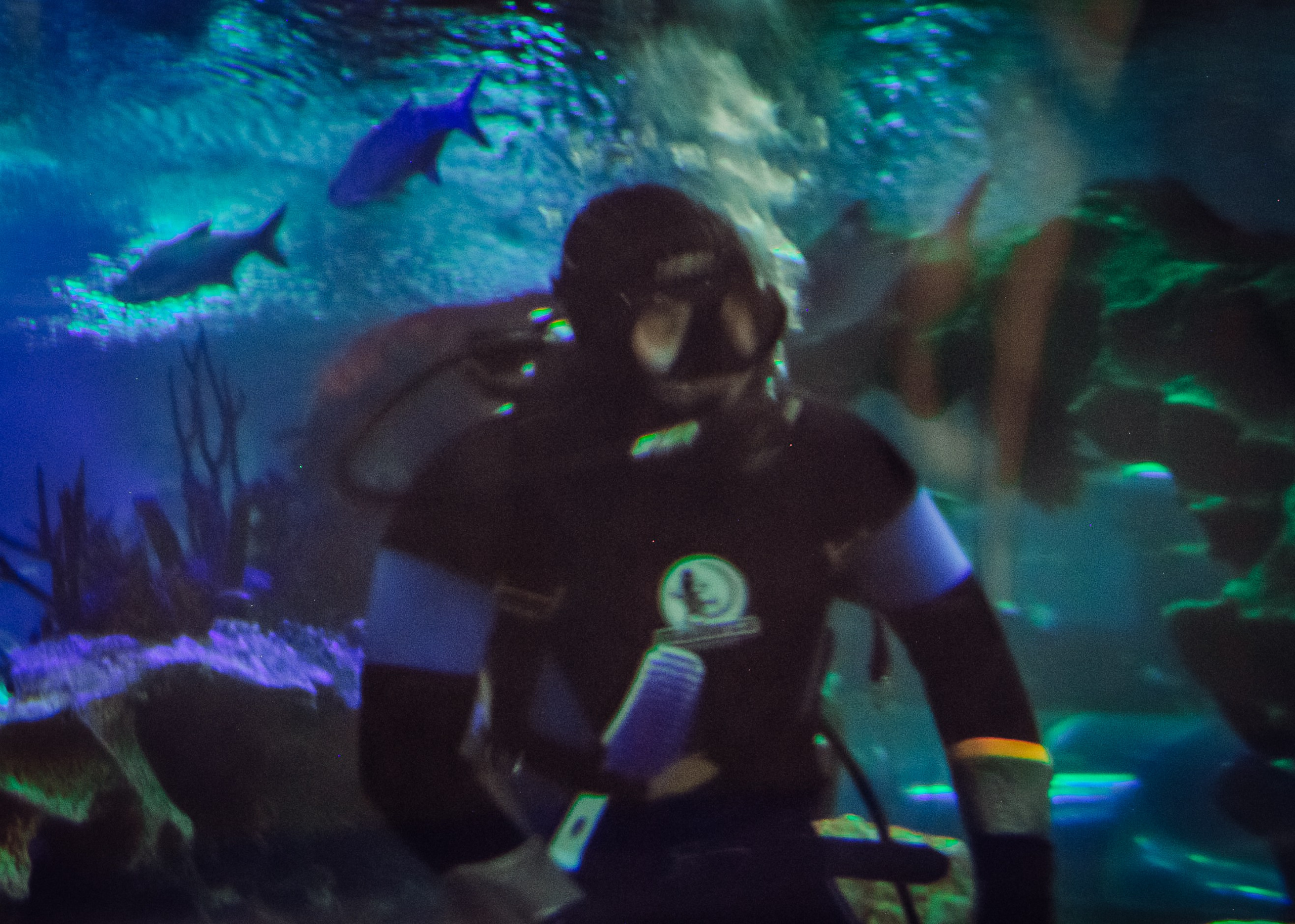 Аквапарк. Портретный фотограф DanilNabody