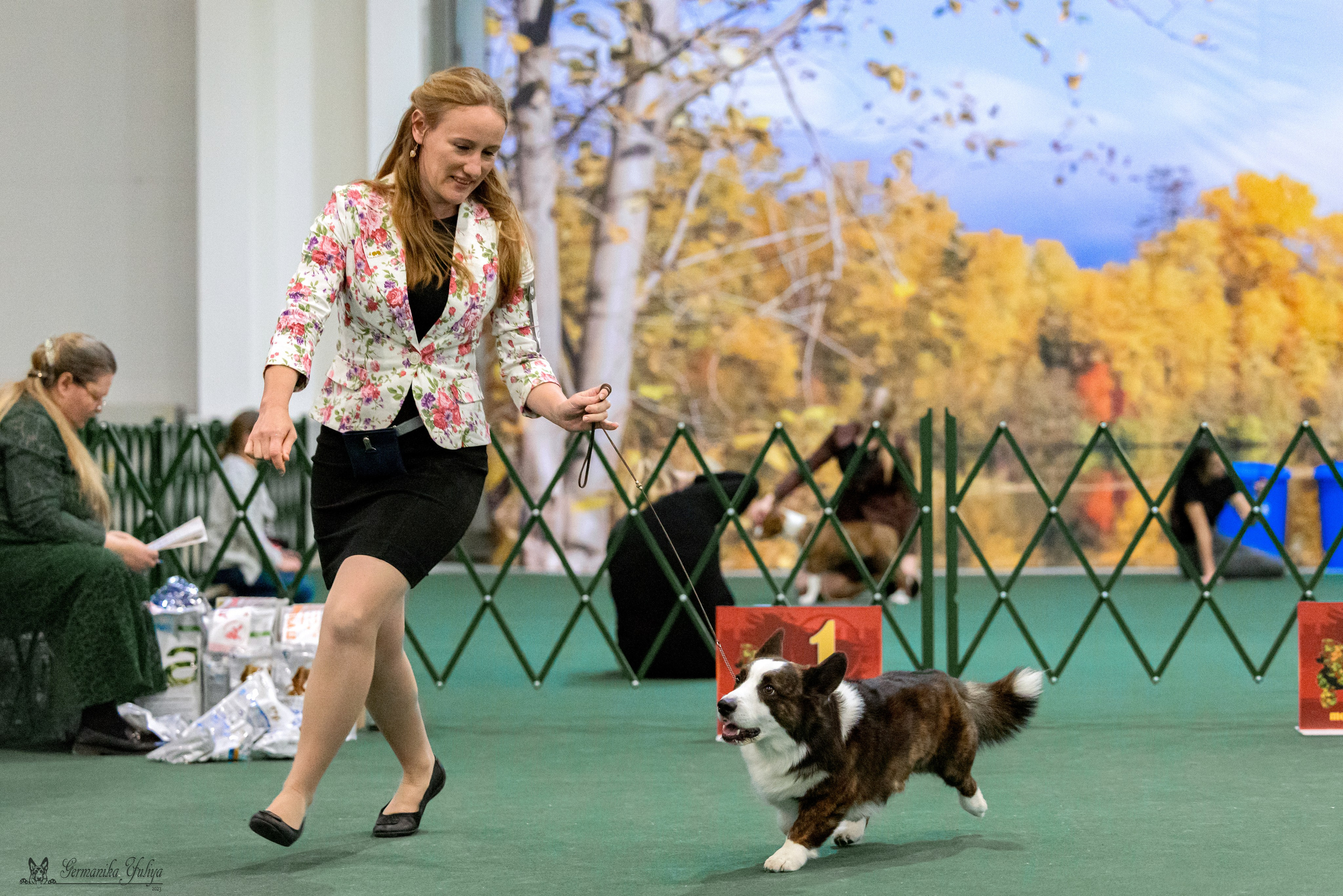 Сфера 29.10,Крокус 4.11,Сфера 12.11.2023. Фотограф-анималист Юлия Германика