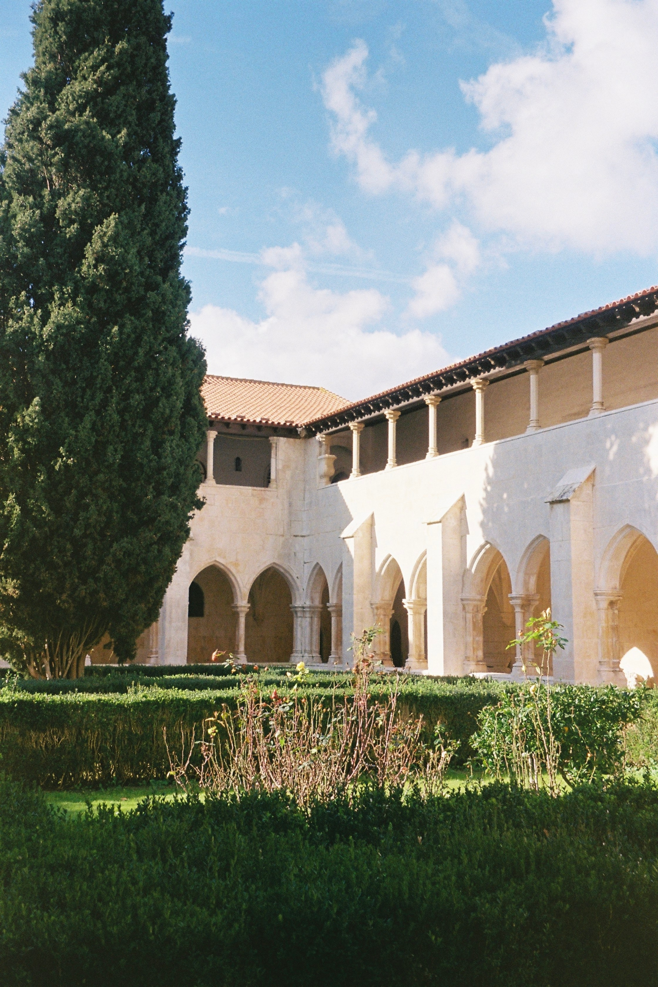 Events. Rimma Kim | photo | video | content creation