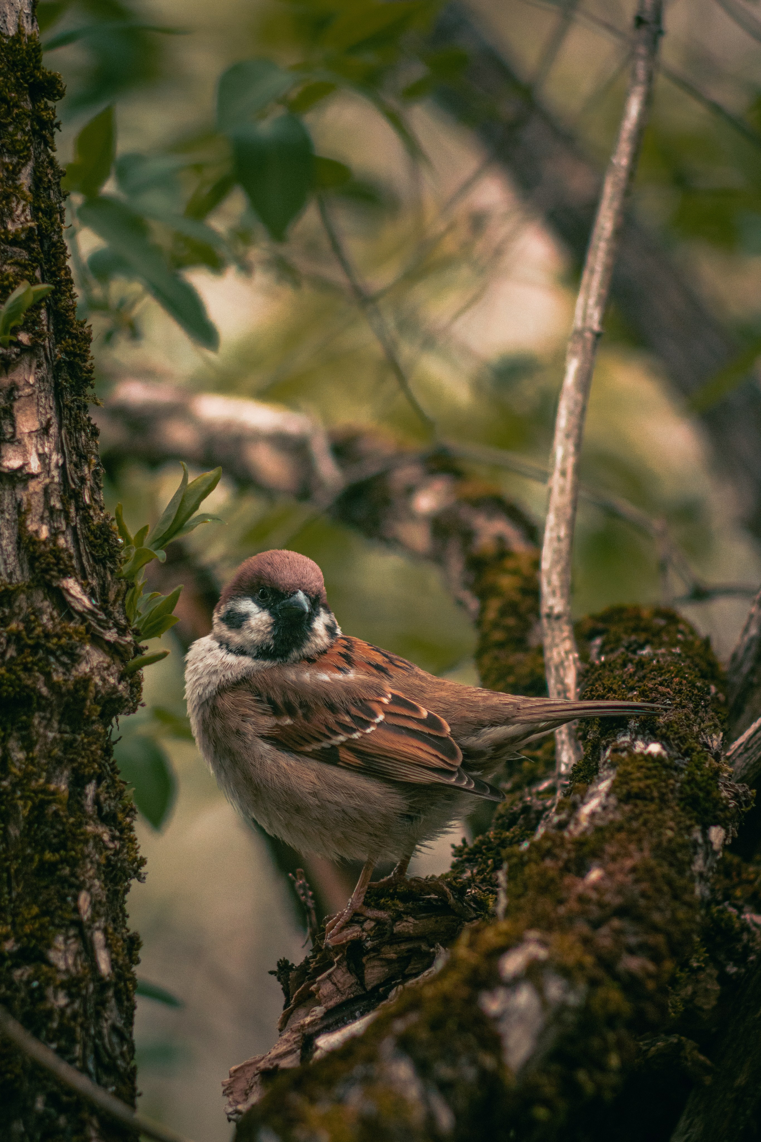 Все в перемешку. Фотограф Крутой Максим
