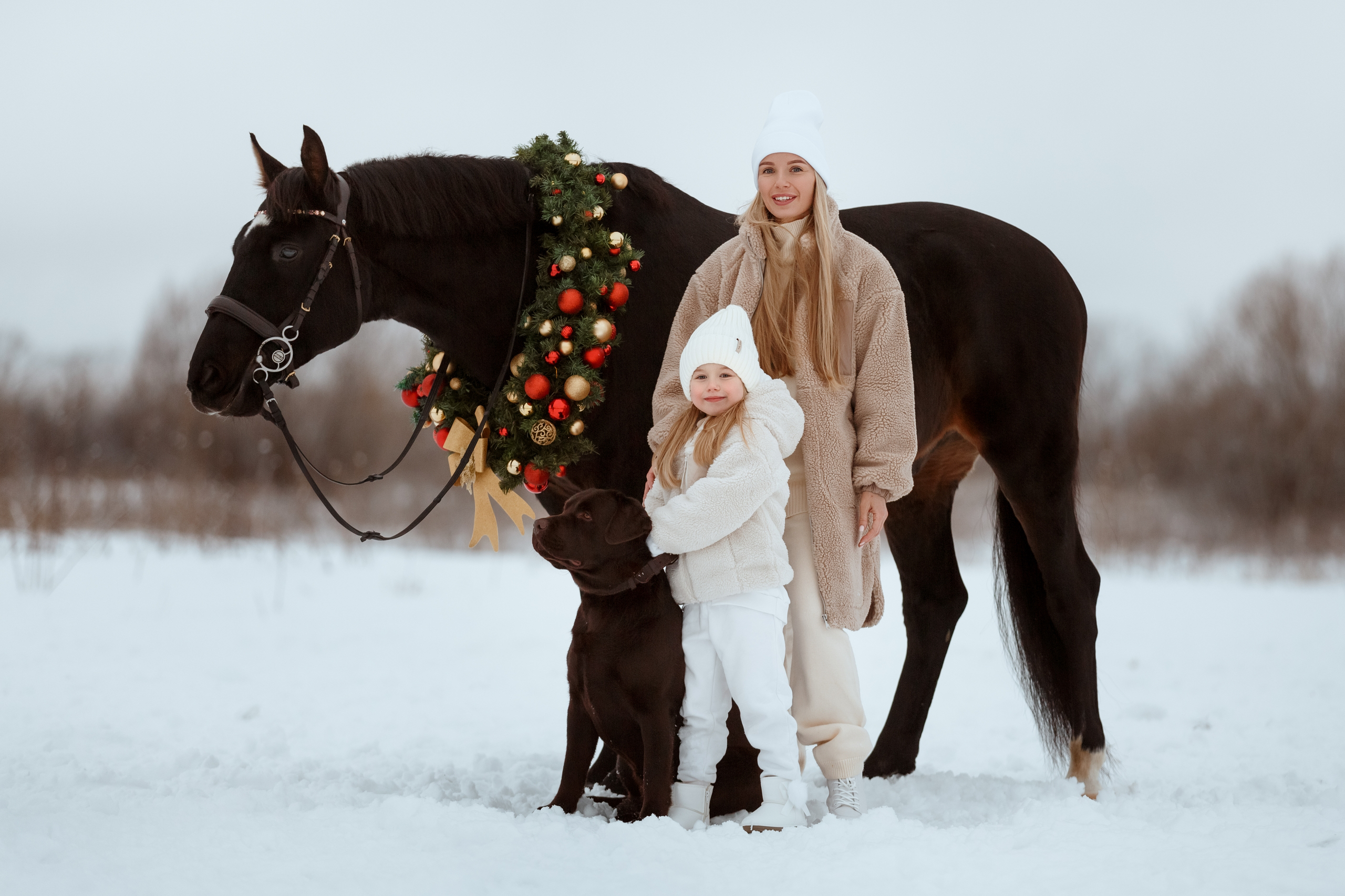Фотосессии с лошадьми. Фотограф Артемьева Катерина|фотосессии с лошадьми