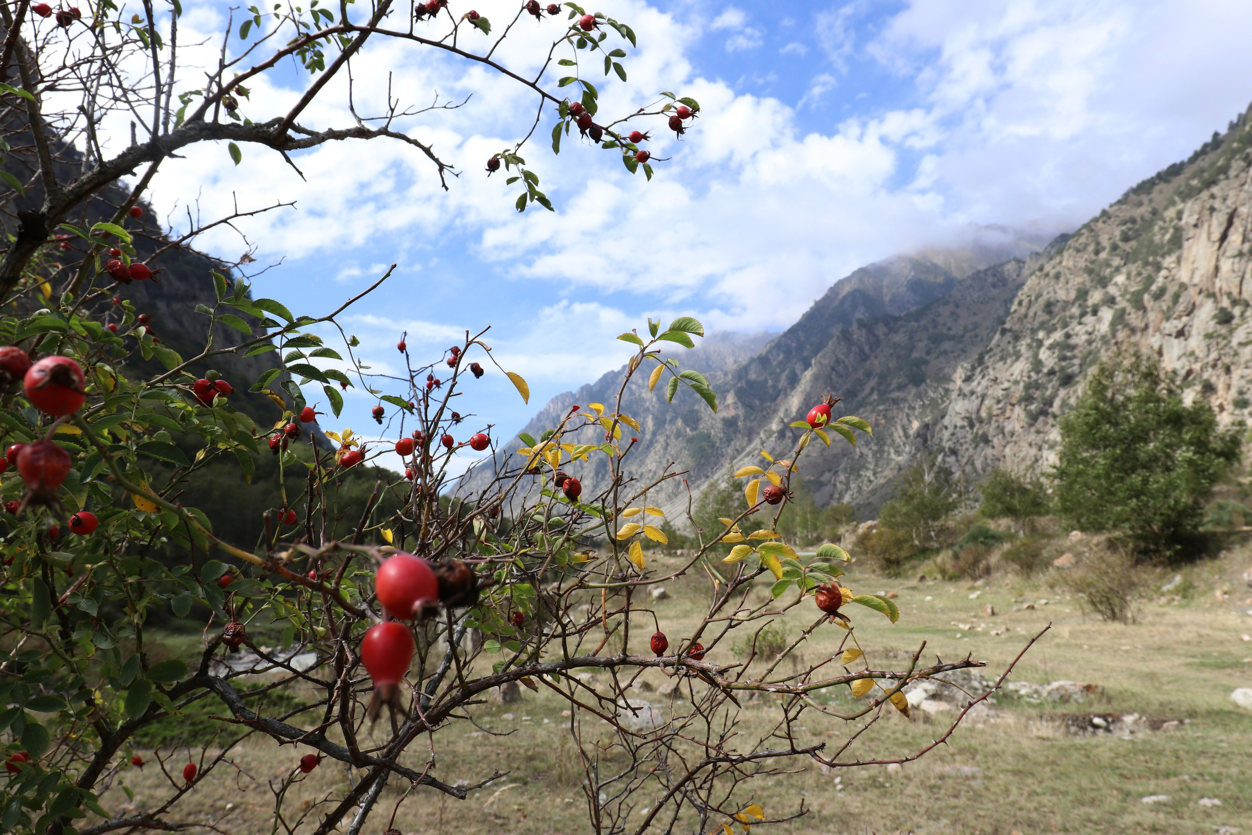 Приэльбрусье. Сентябрь 2024. Путешественник-фотограф из Санкт-Петербурга Татьяна Свистулина