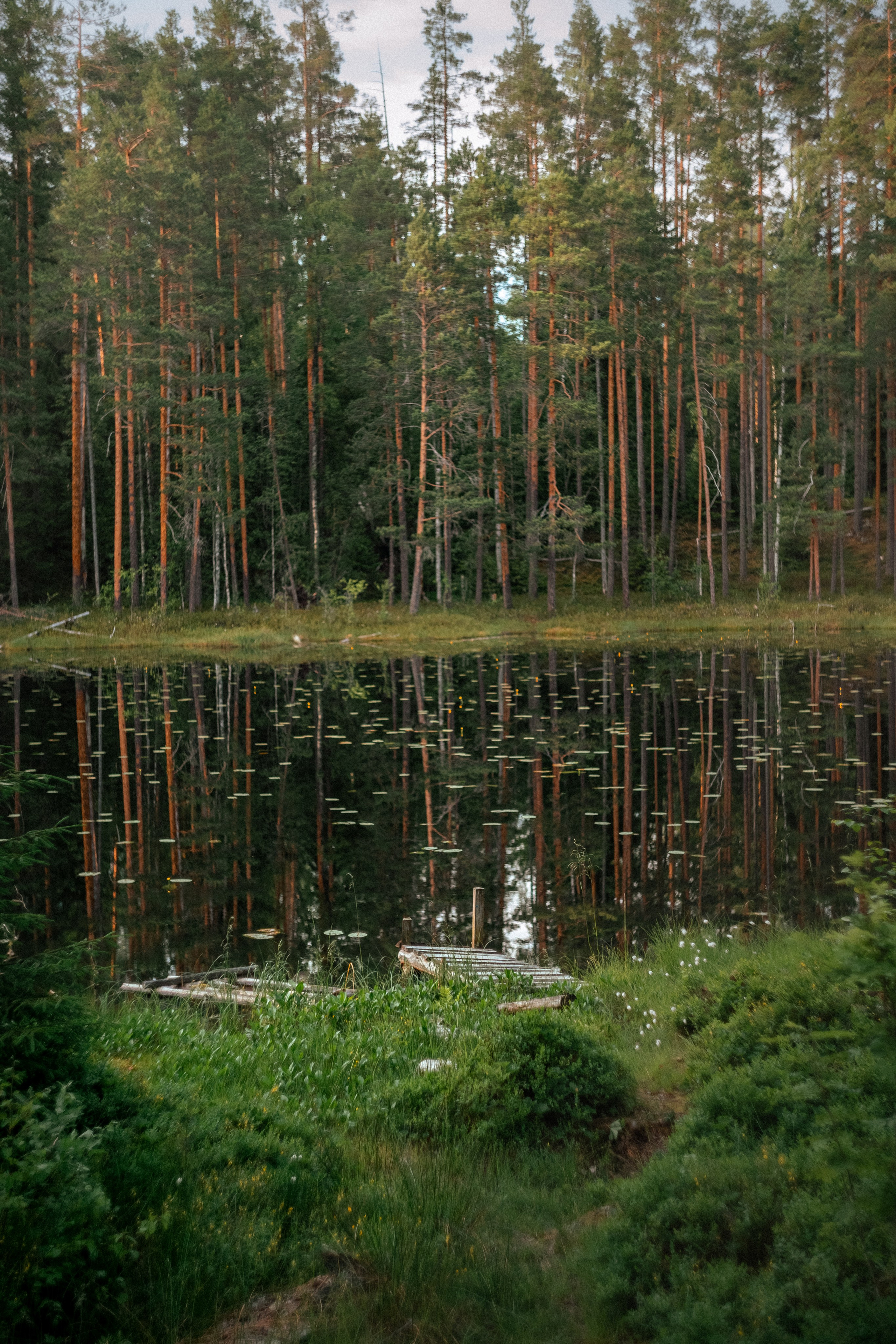 Карелия — место силы. Юля Дэй • Фотограф, Санкт-Петербург