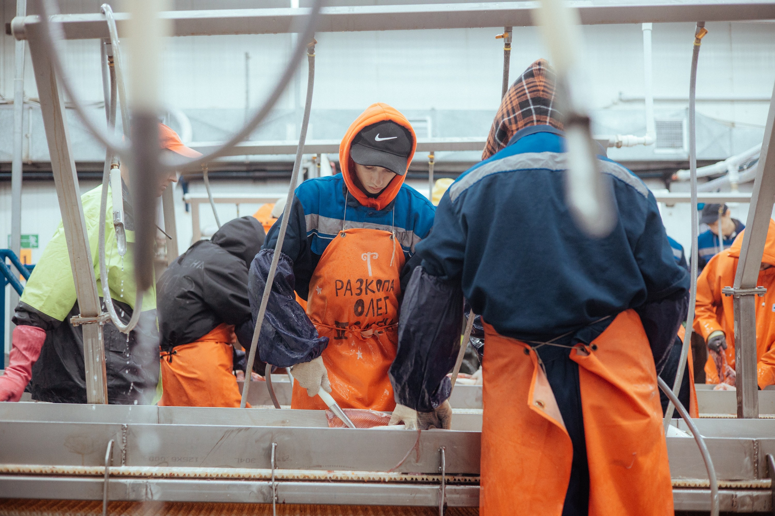 Ооо «лойд-фиш» | камчатка-2025