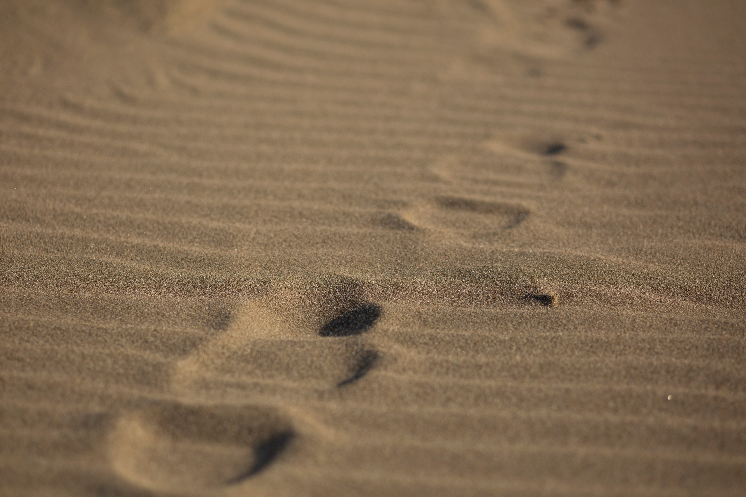 Первый день на Сахалине. Фотограф Даша Омельченко