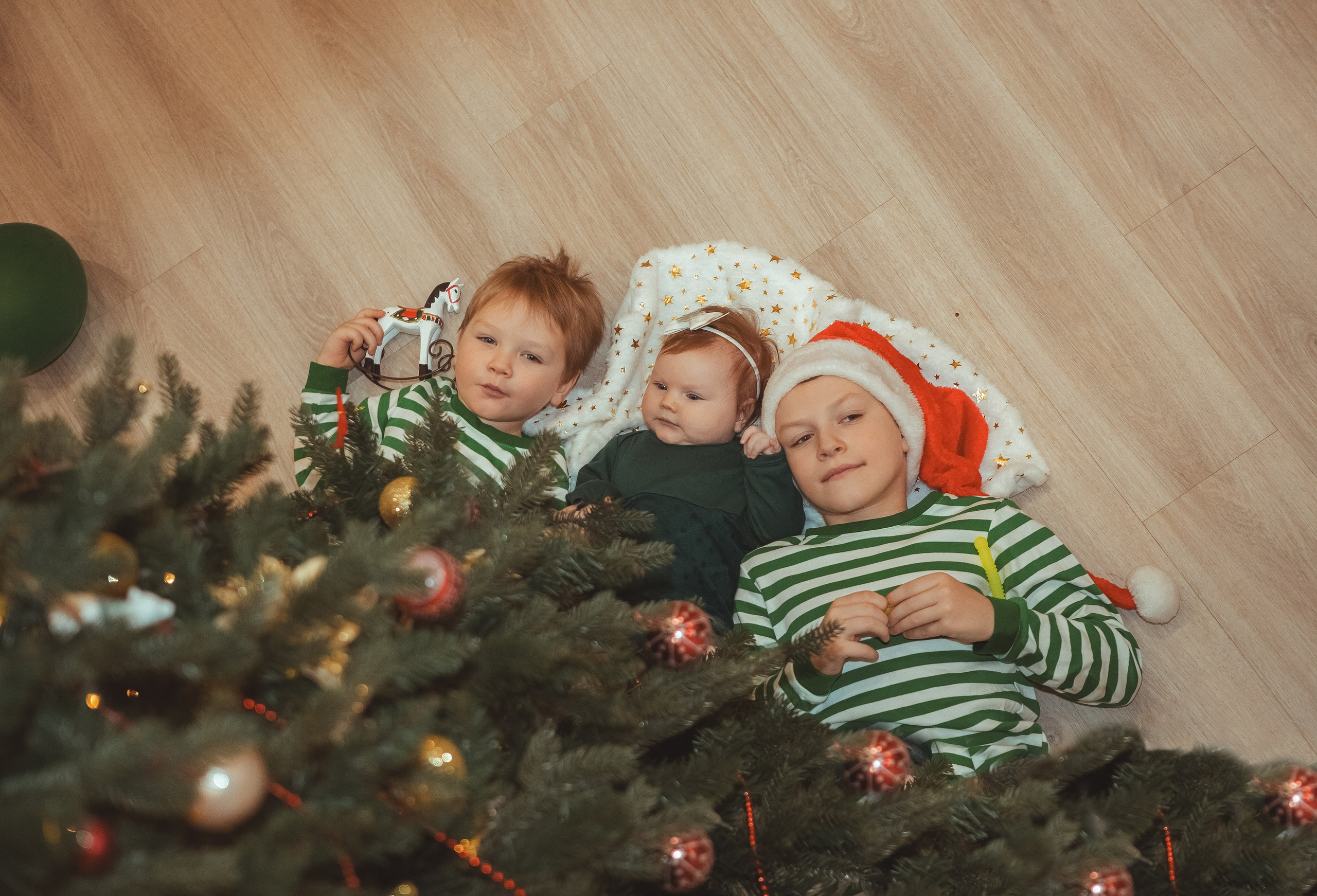 Новый год в кругу семьи (домашняя съемка). Вера Соколова фотограф Воронеж