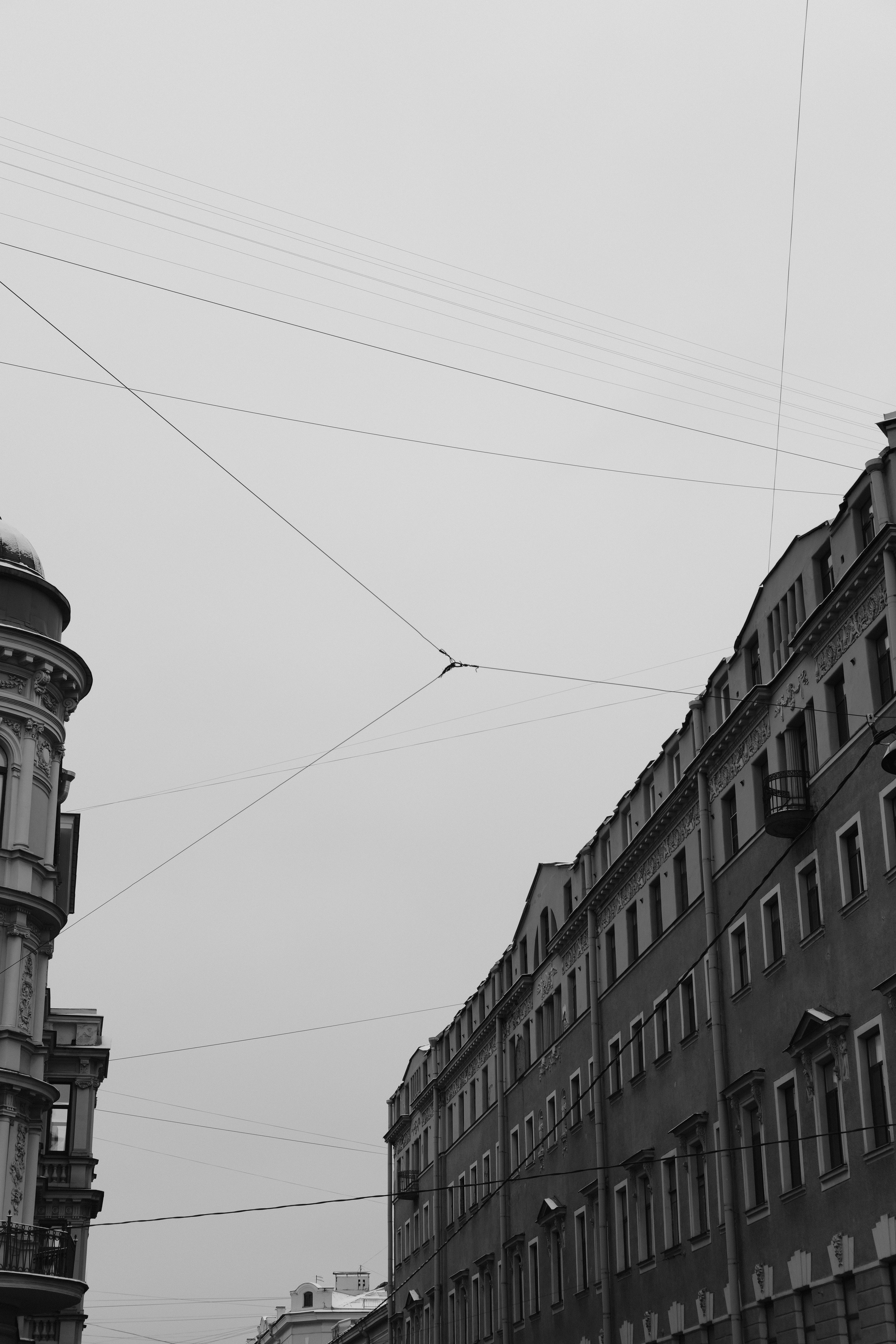 Санкт-Петербург. BELABONKA