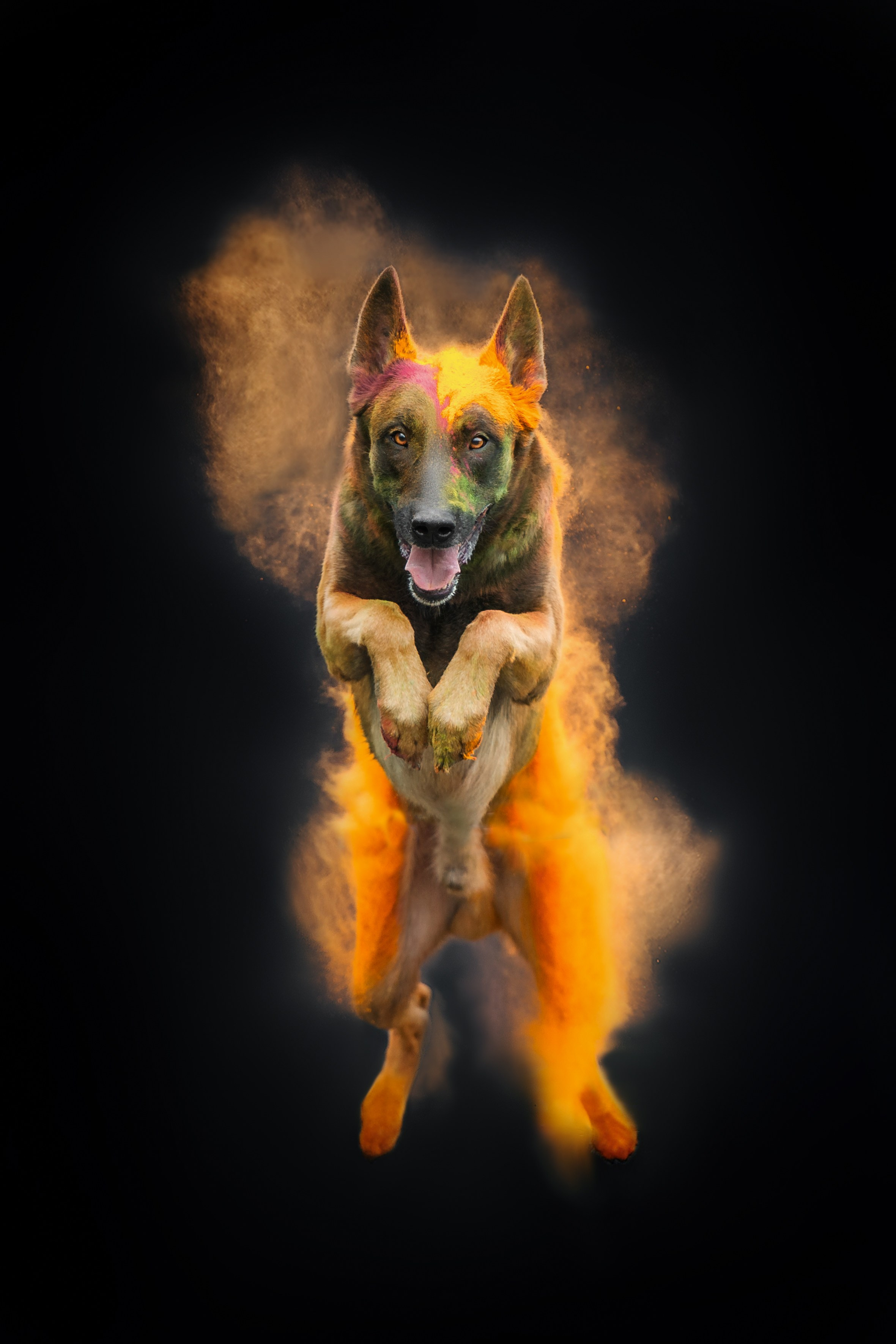 Краски холи. Фотограф-анималист Анастасия Парфенова|Екатеринбург