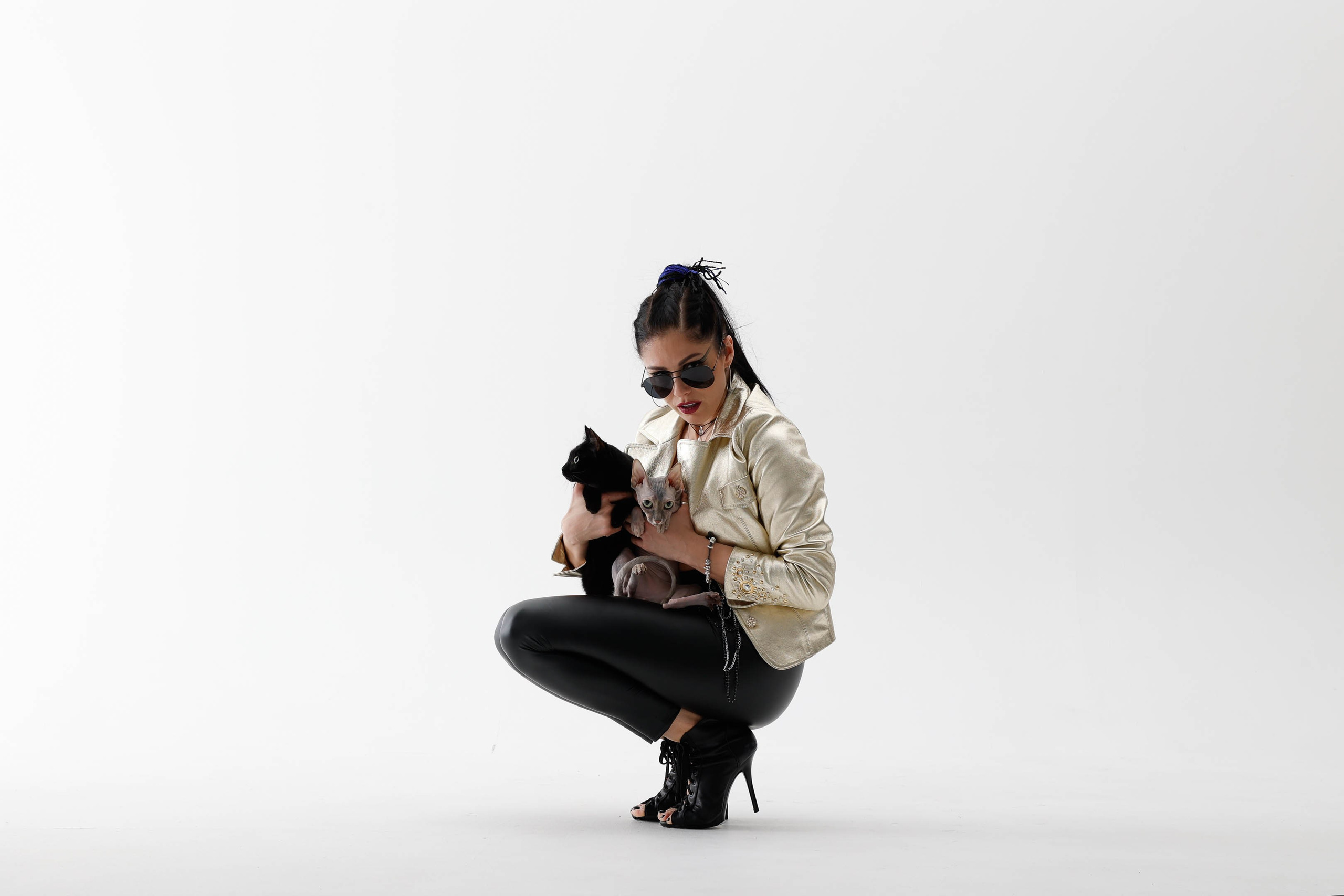 40 cats. ITMAG.ME | Visual Art