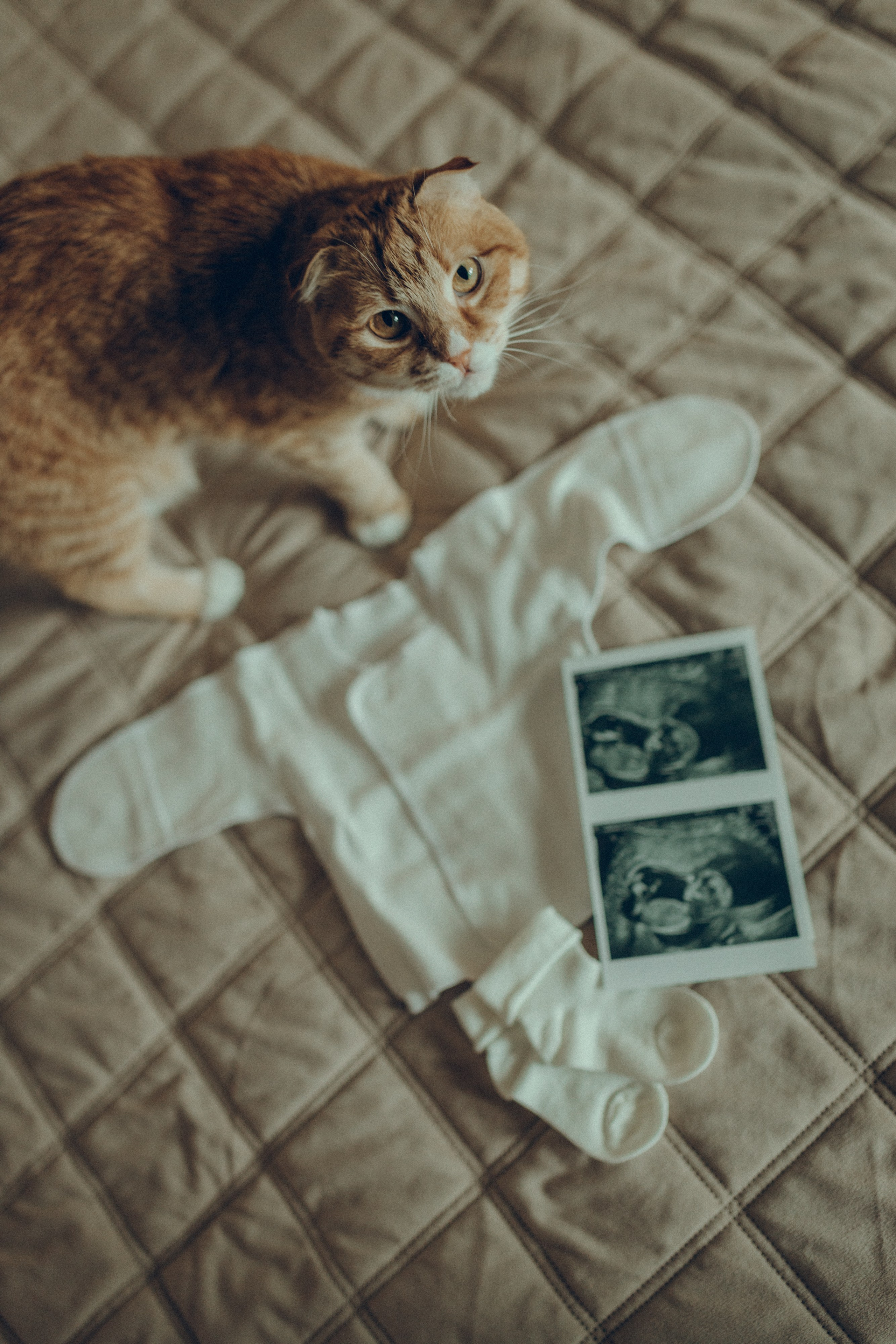 Аня & Кирилл. Семейный фотограф и фотограф на роды в Ростове-на-Дону Мухина Виктория