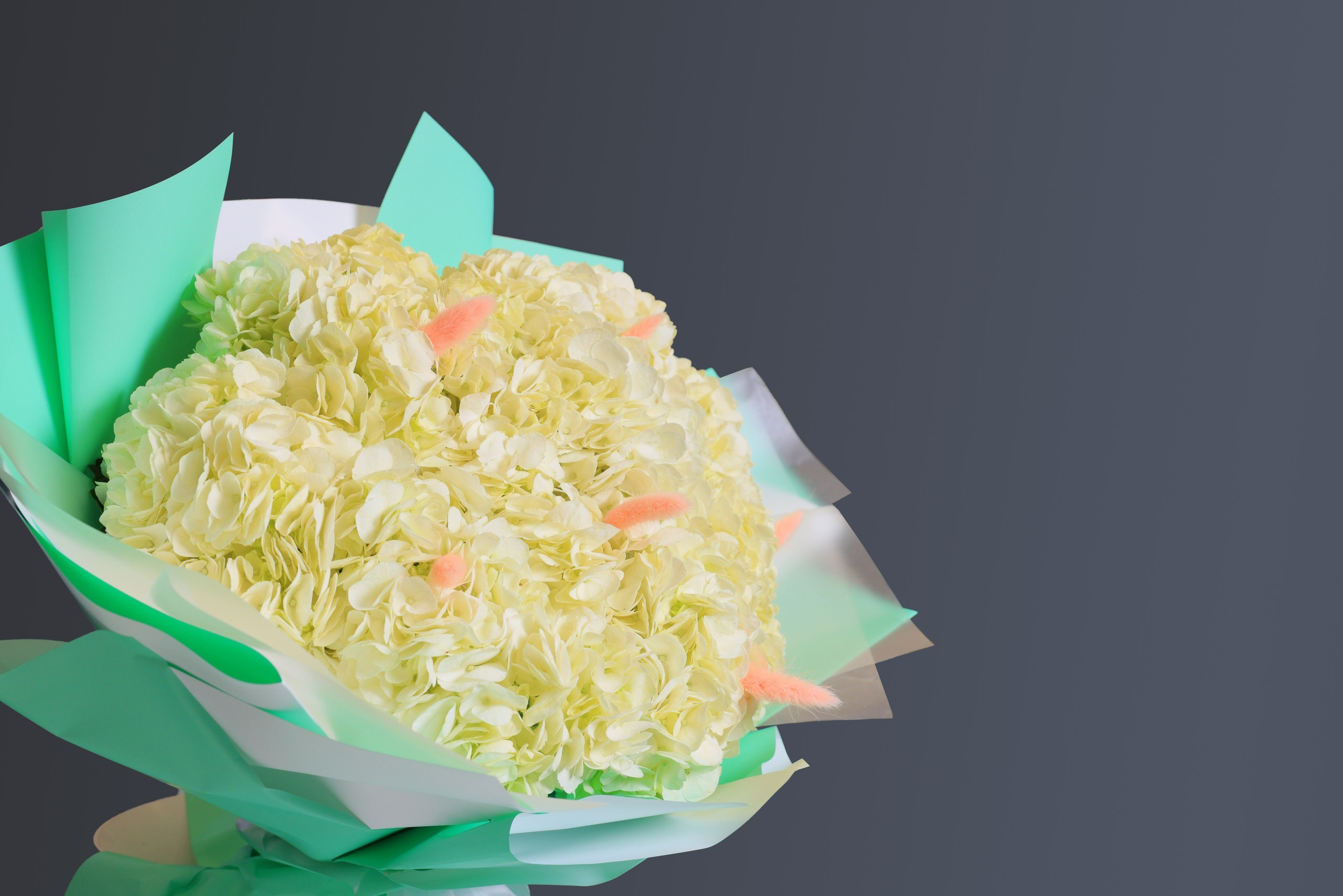 Цветы. Фотограф в Туле Крупский АнДРей. Фотостудия «КАДР71» в Туле