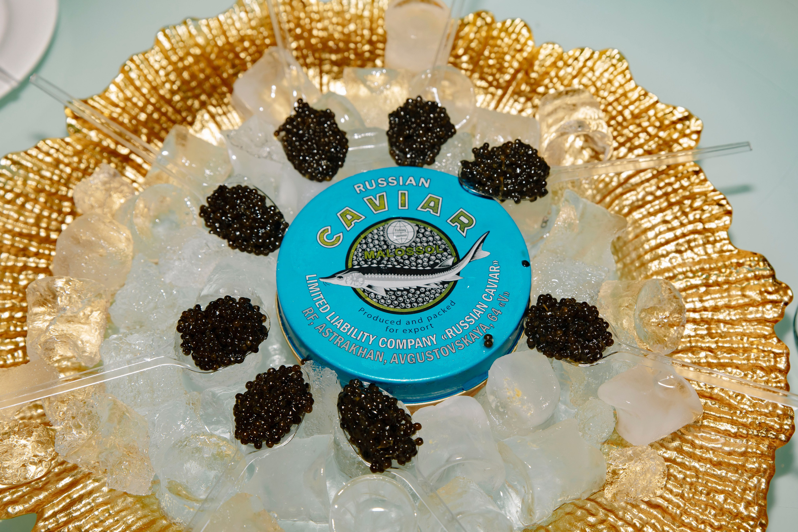 Премия RB «Человек Года 2025». Фотограф в Москве Яна Полосина