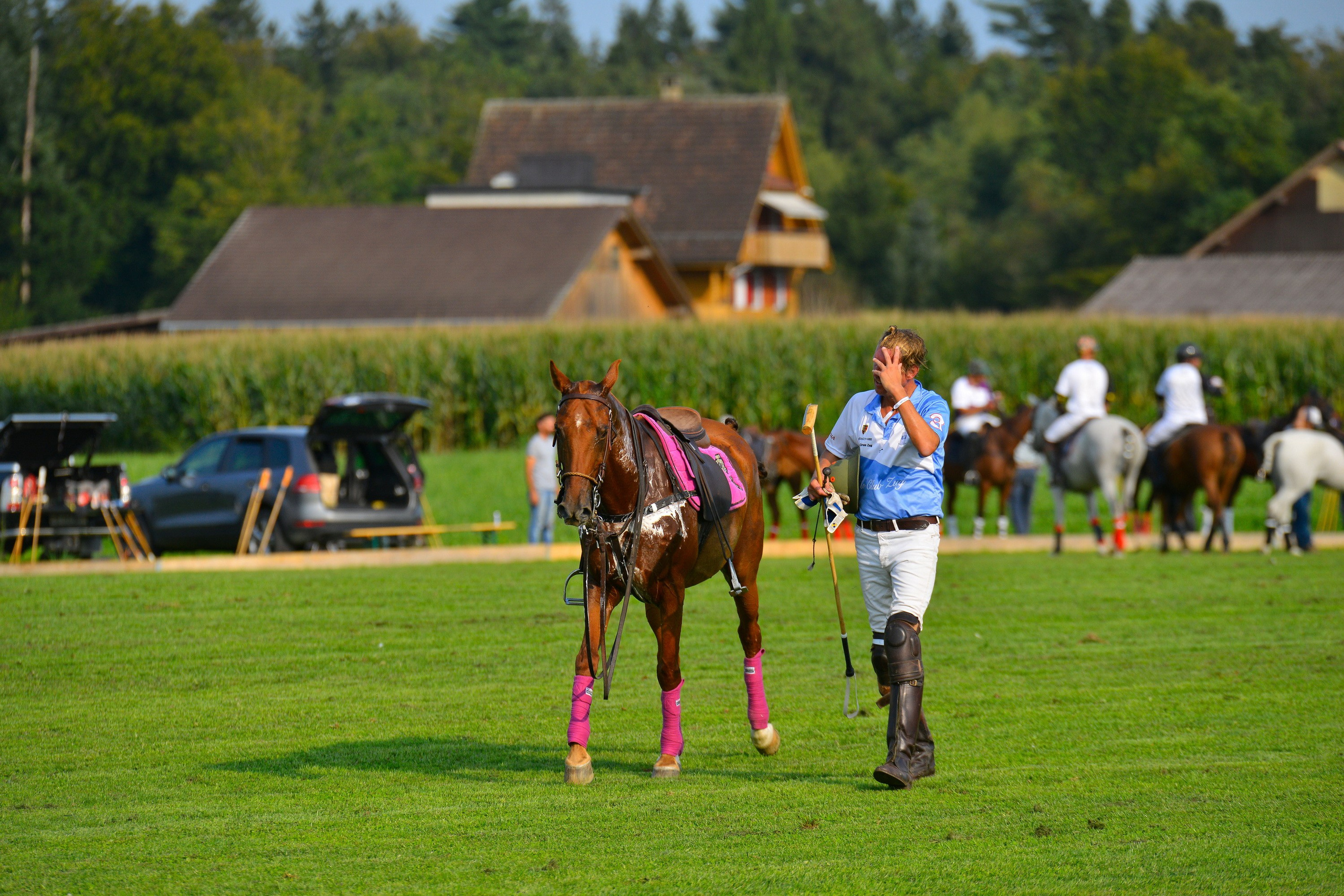 Polo art photos. Art photos of horses — ARTUR BABOEV | Photographer