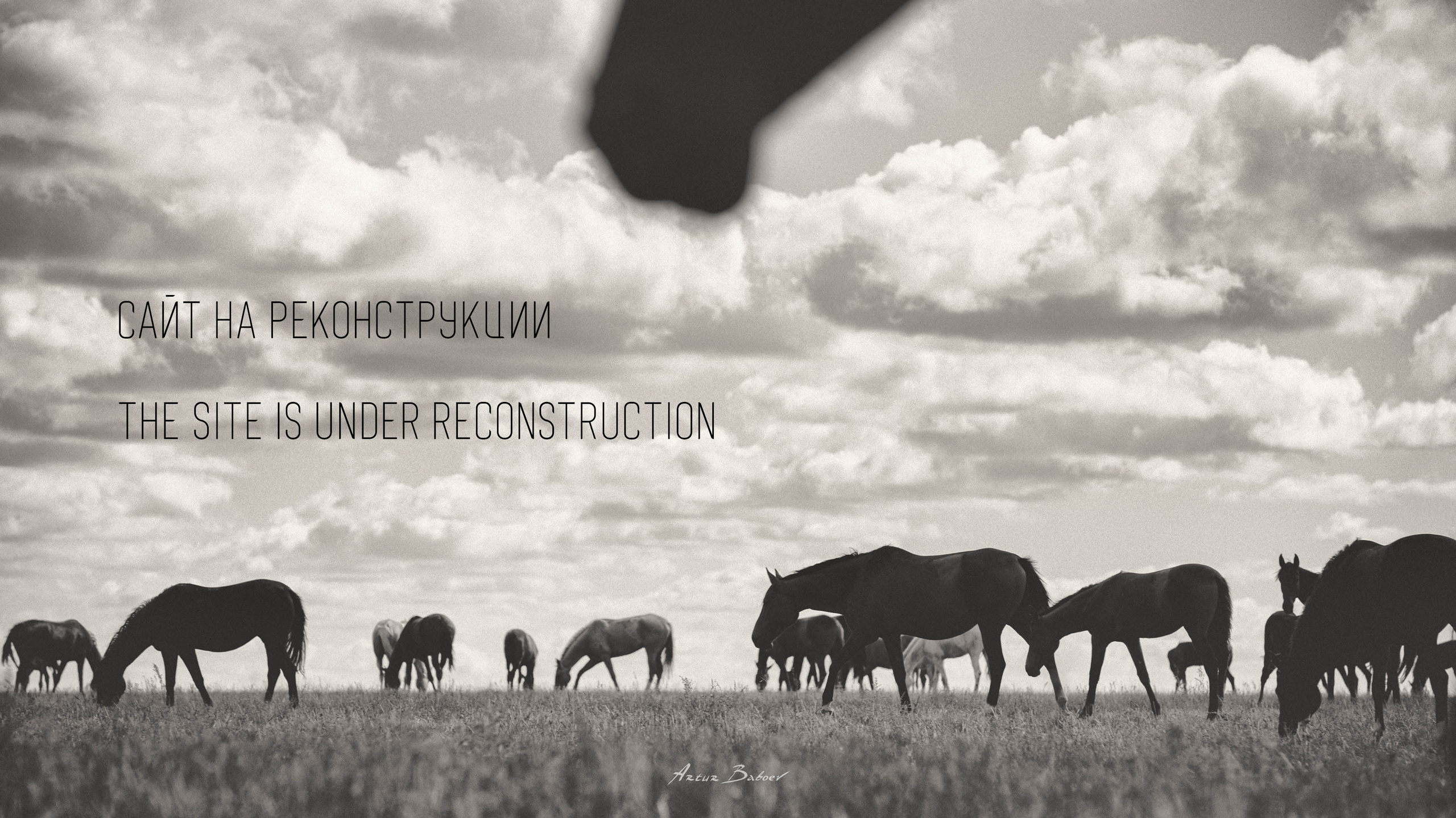 Art photos of horses — ARTUR BABOEV | Photographer