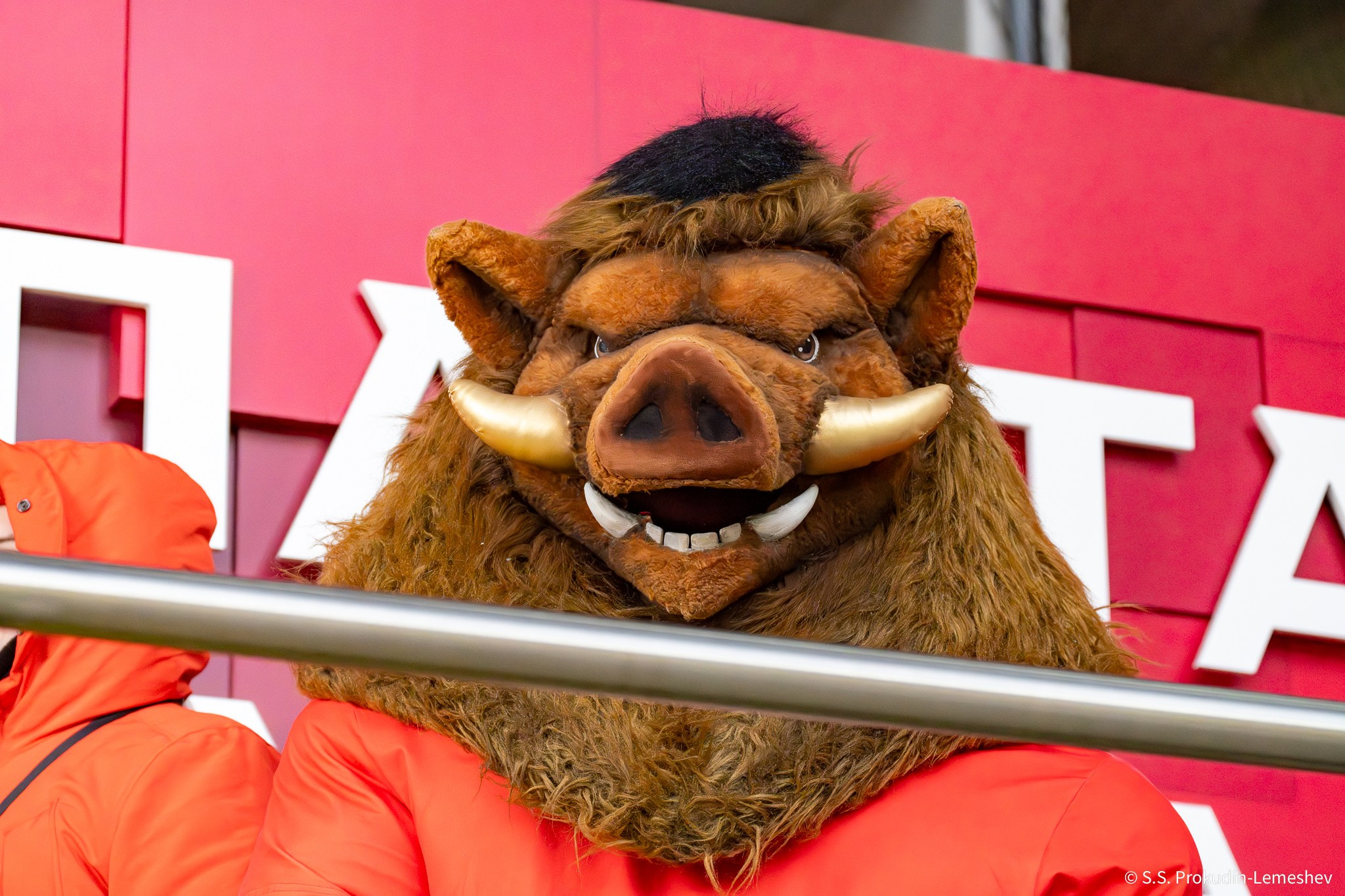 Спартак-Оренбург. Фотограф. Репортаж. Спорт. Концерты и мероприятия