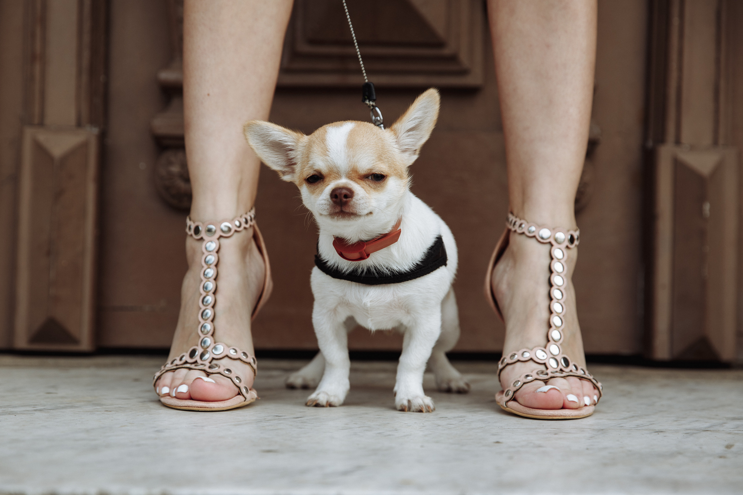 Виктория Литовкина. Батуми, Грузия. Свадебный фотограф в Алматы Николай Киреев